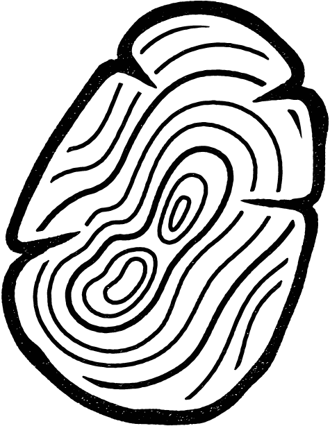 Black and white abstract fingerprint illustration with detailed lines and swirls.