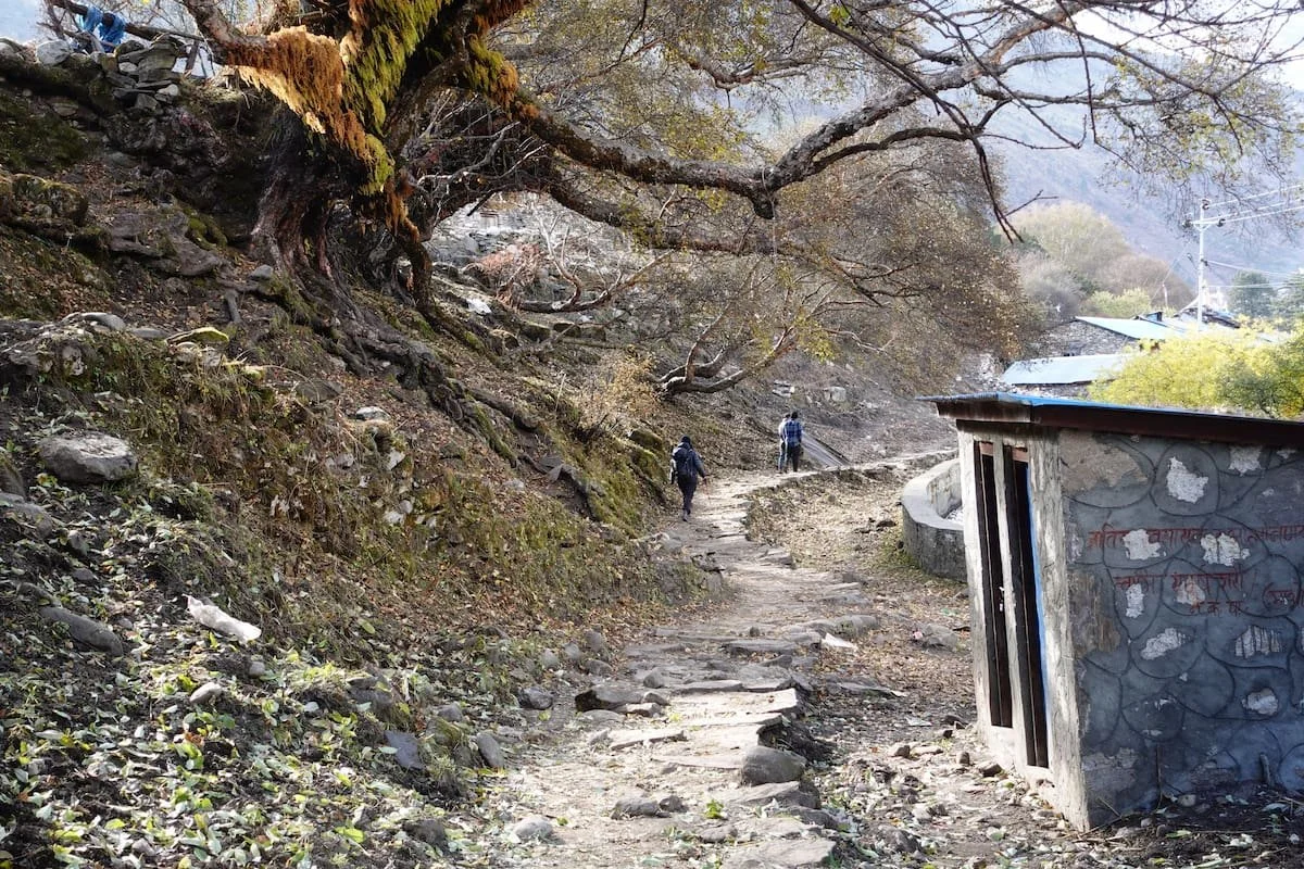 trekking-nepal-himalayas-9.jpg