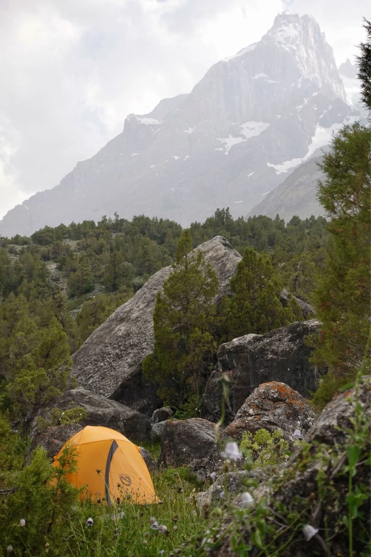 A yellow camping tent set up among large rocks and green trees in a mountainous area with snow-capped peaks in the background.