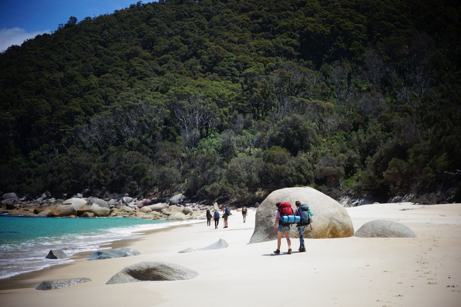 Group of five hikers walking along a sandy beach with large rocks, with a dense forested hillside in the background.