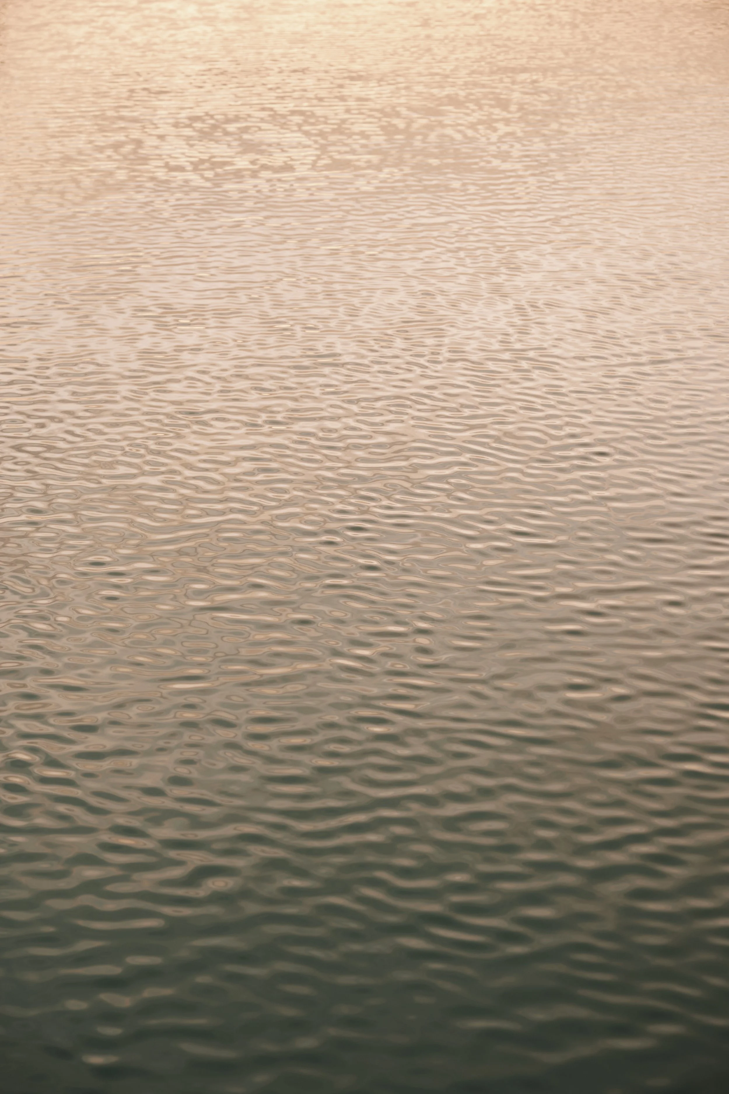 Calm water surface with gentle ripples and a soft, pastel-colored sky reflection.