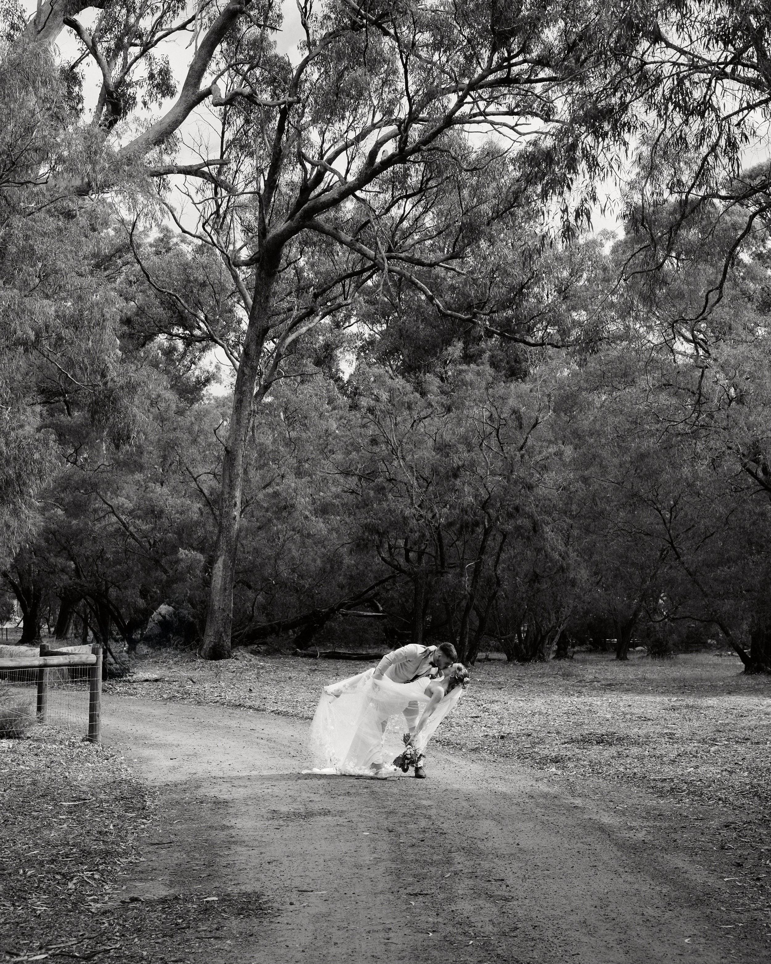 A black and white photo of a newlywed couple sharing a kiss on a dirt path in a wooded area, with large trees in the background.