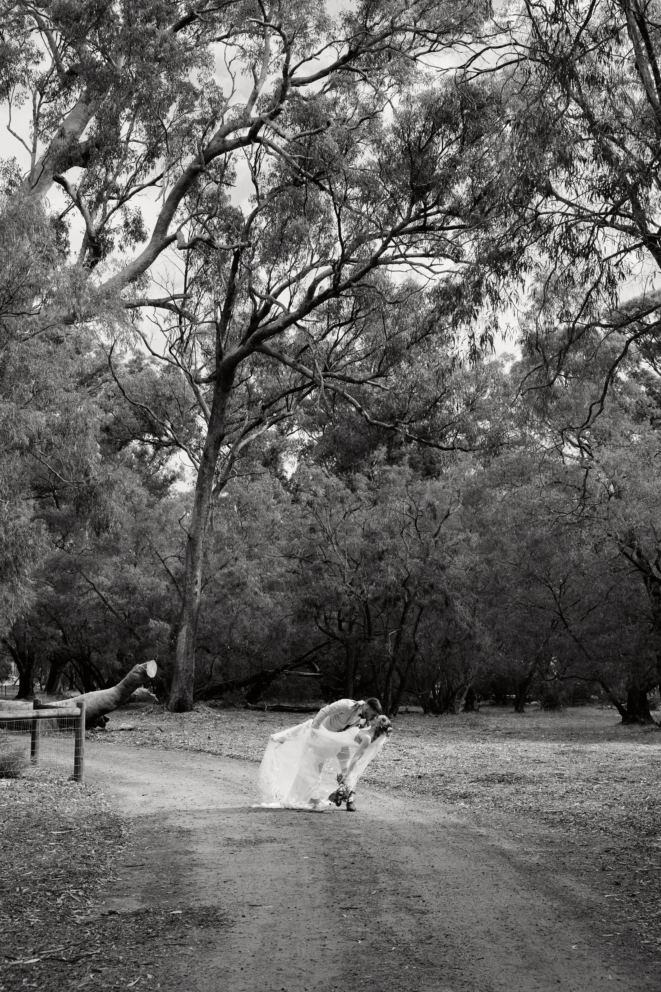 reidimagery-ryan-reid-down-south-wedding-photographer-perth-couple-kiss-bushland-black-and-white.jpg.jpg