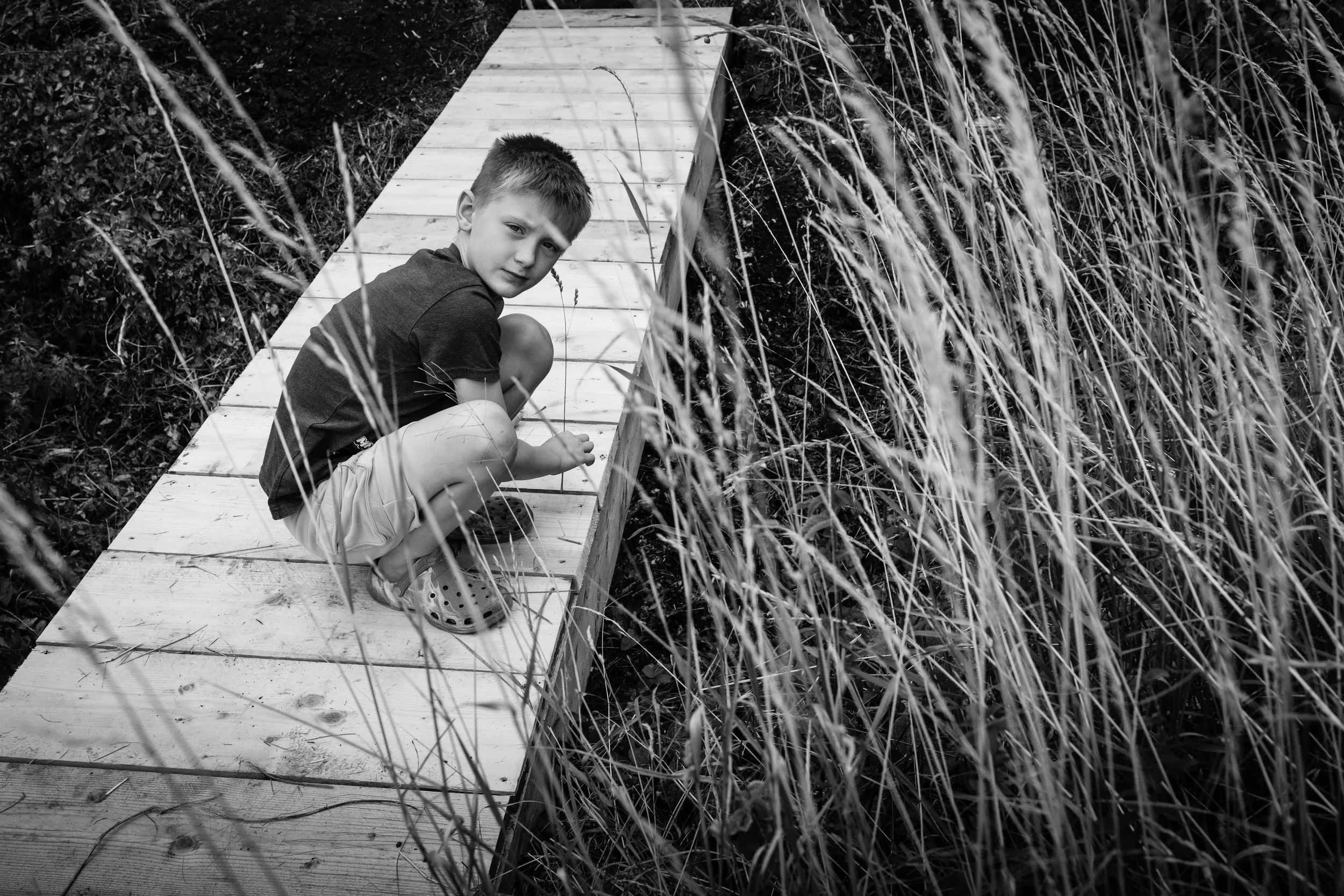 A young boy sitting on a wooden dock near tall grass or reeds, looking towards the camera.