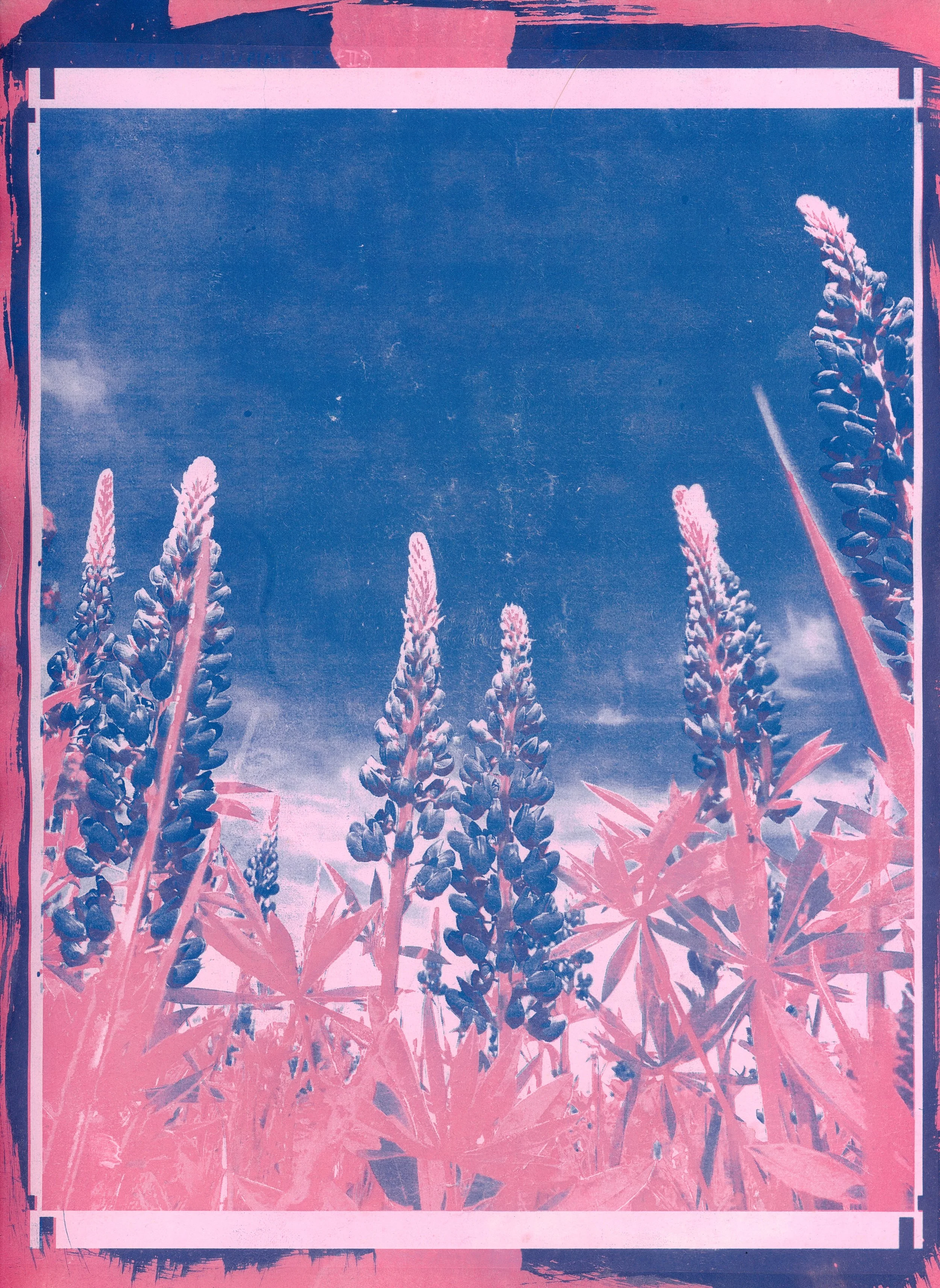 Blue & Beyond-8.jpg