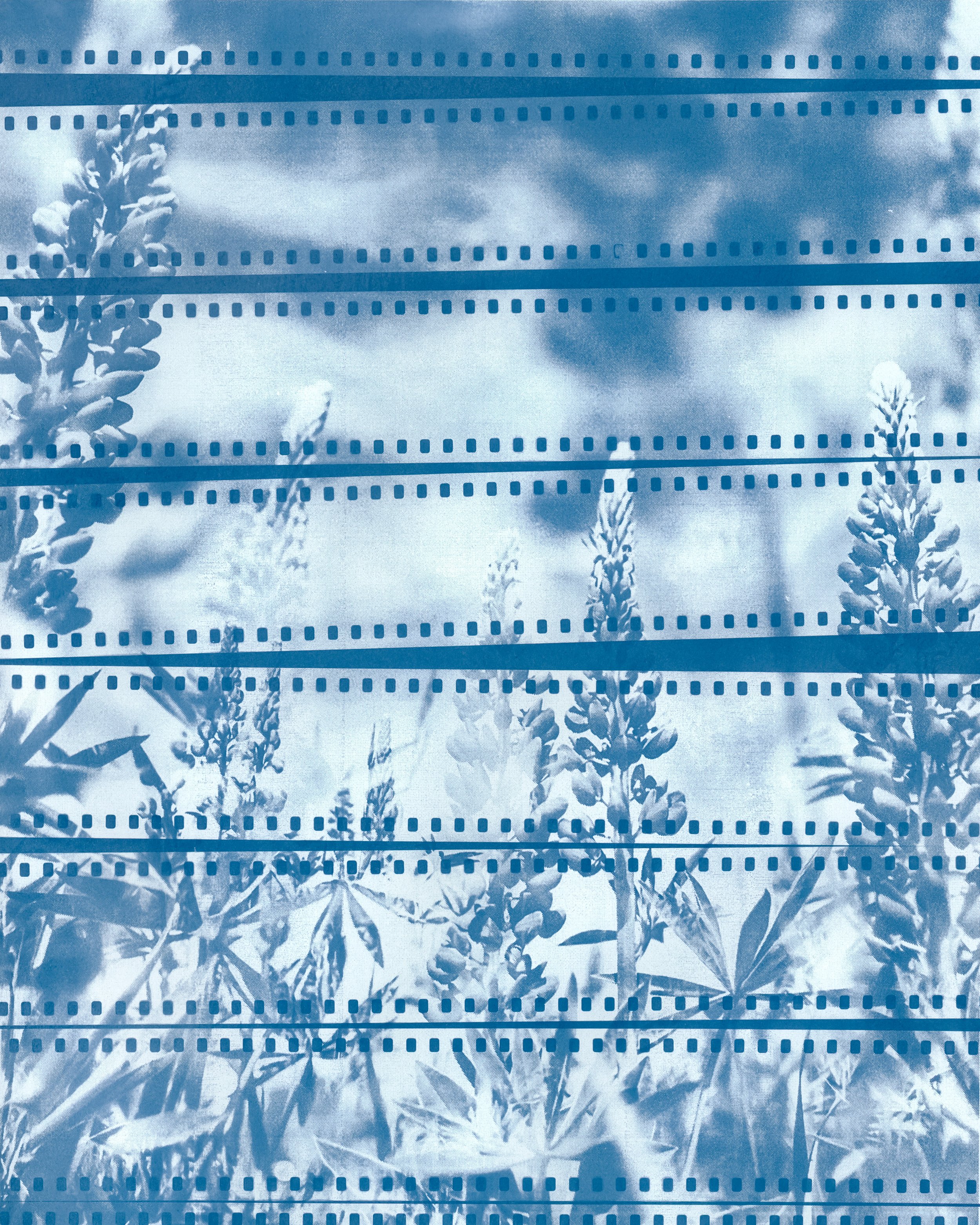 Blue & Beyond-1.jpg