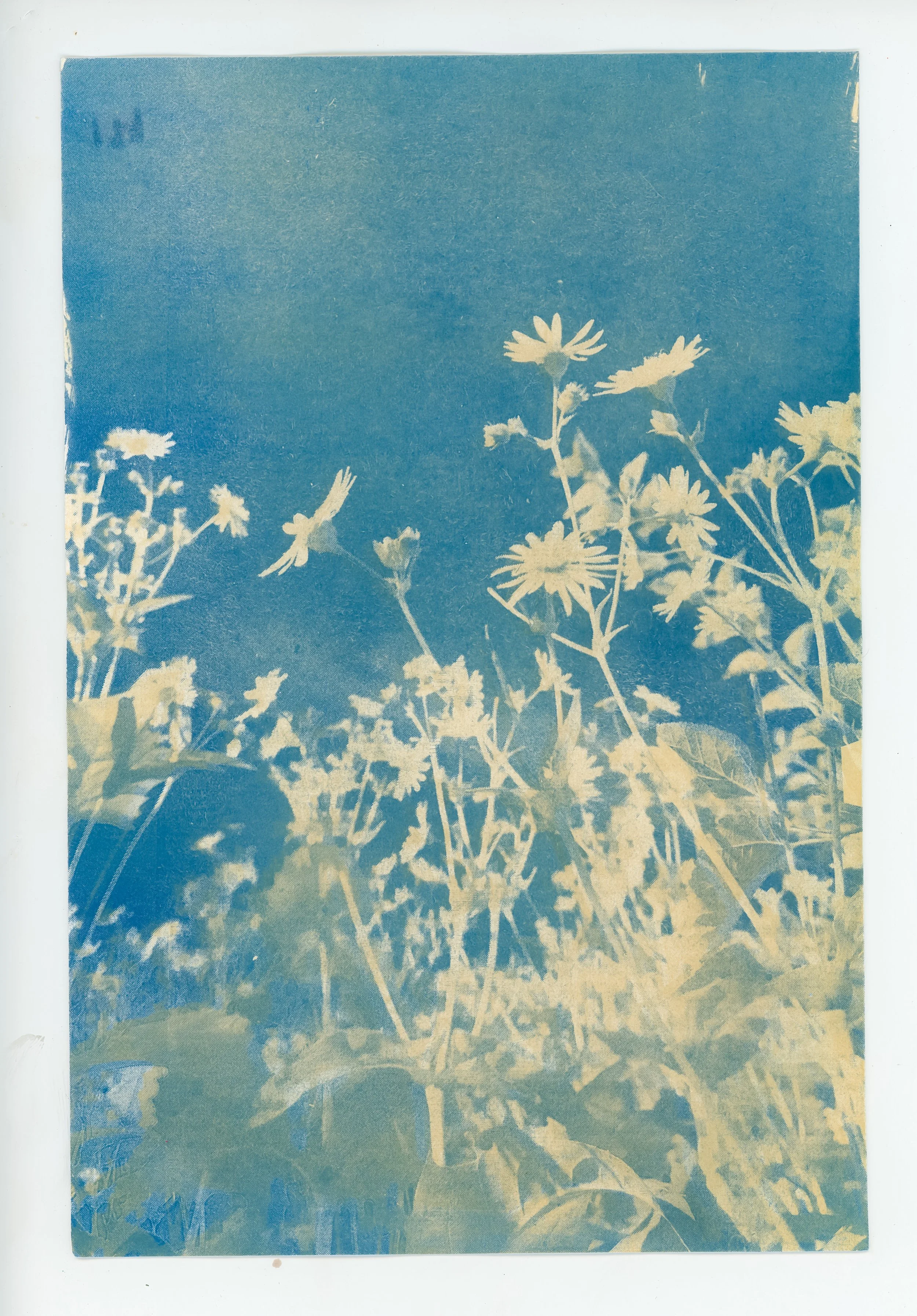 Blue & Beyond-4.jpg