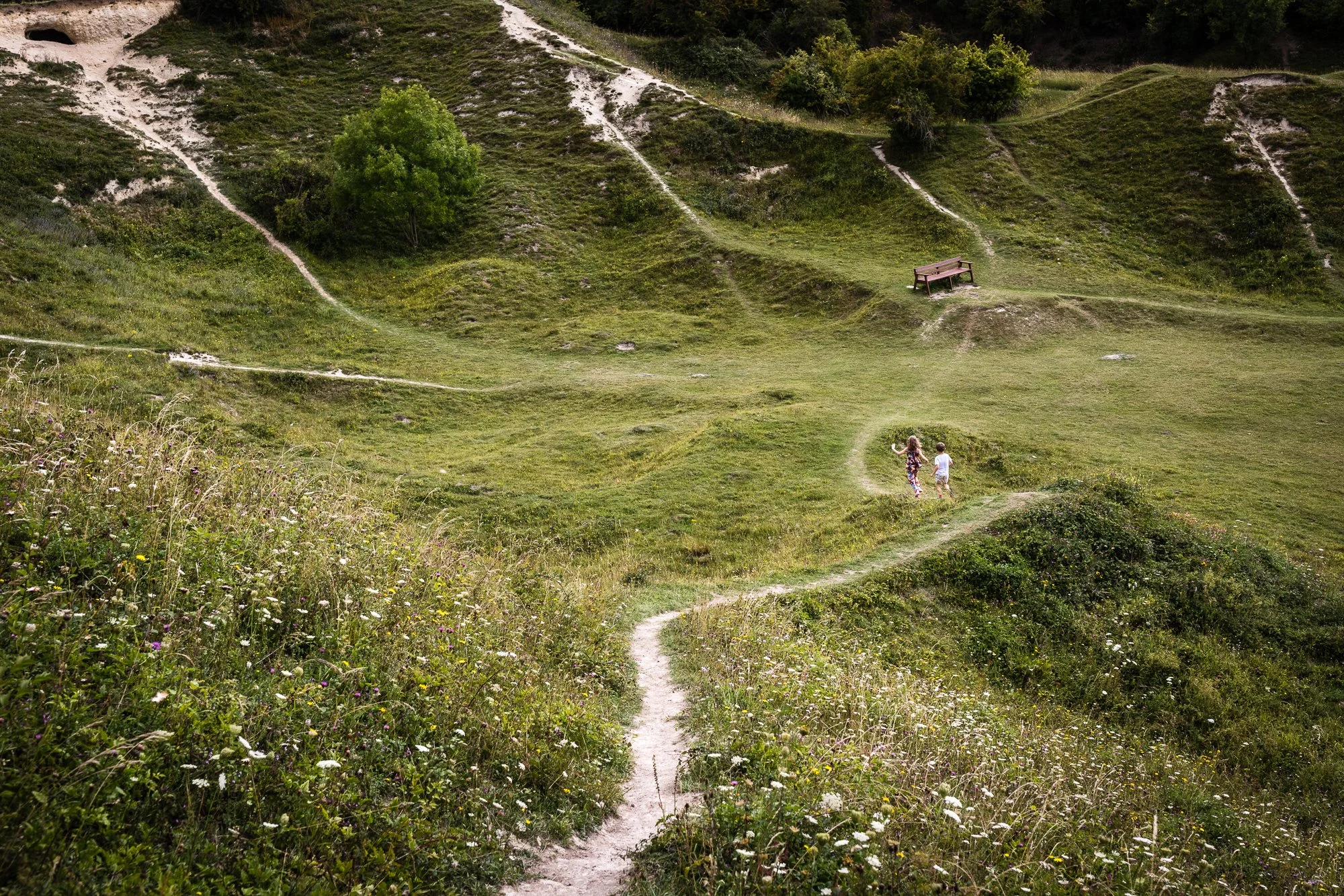 Two children, a girl and a boy, walking along a winding dirt trail in a lush, green hillside with wildflowers and a bench in the distance.