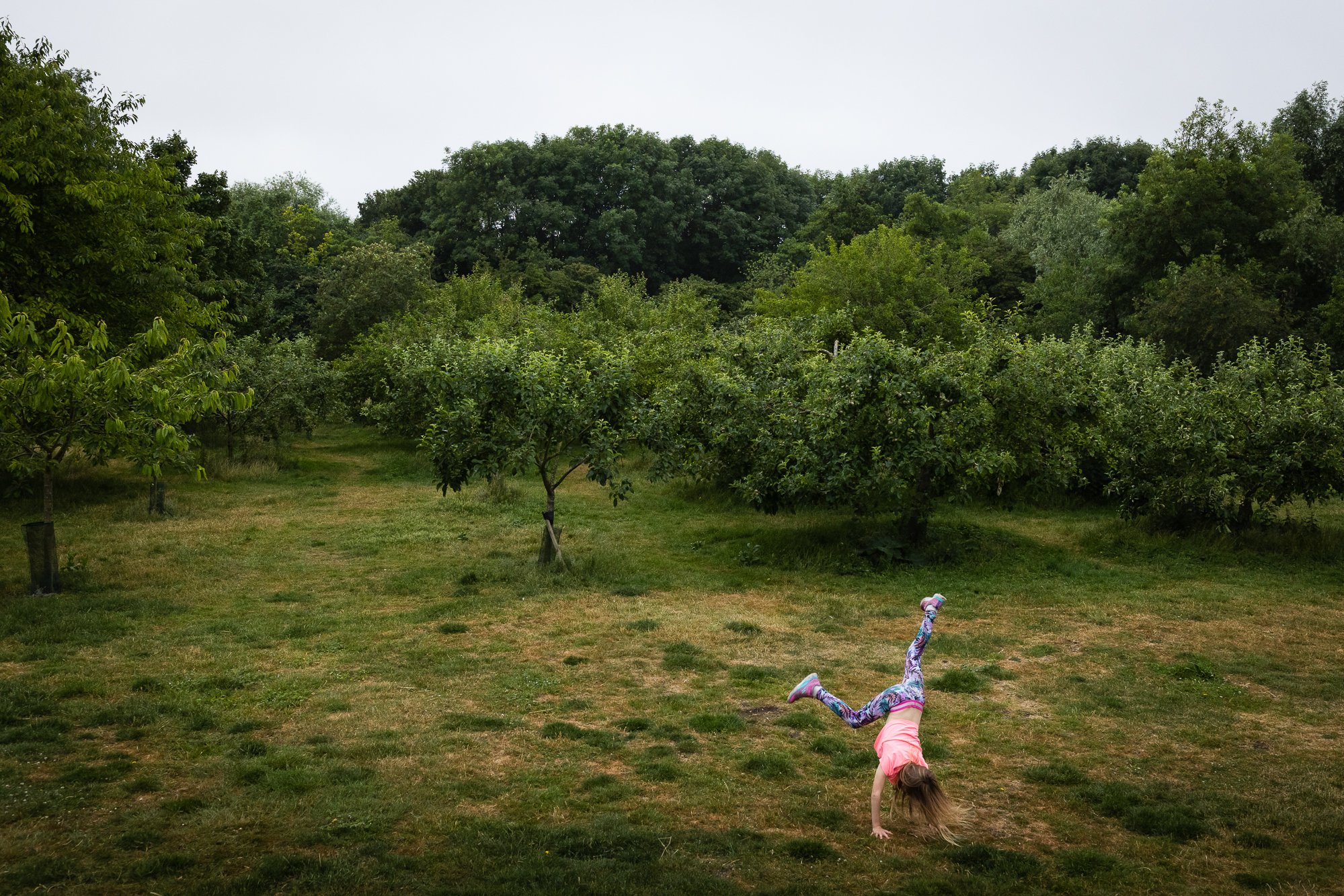 A girl doing a cartwheel on a grassy field in an orchard with trees and dense foliage in the background.