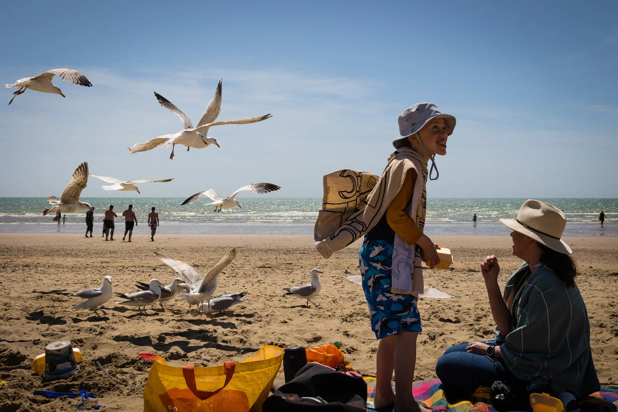 A woman standing and talking with a woman sitting on the beach, surrounded by seagulls, with others walking along the shoreline in the background on a sunny day at the beach.