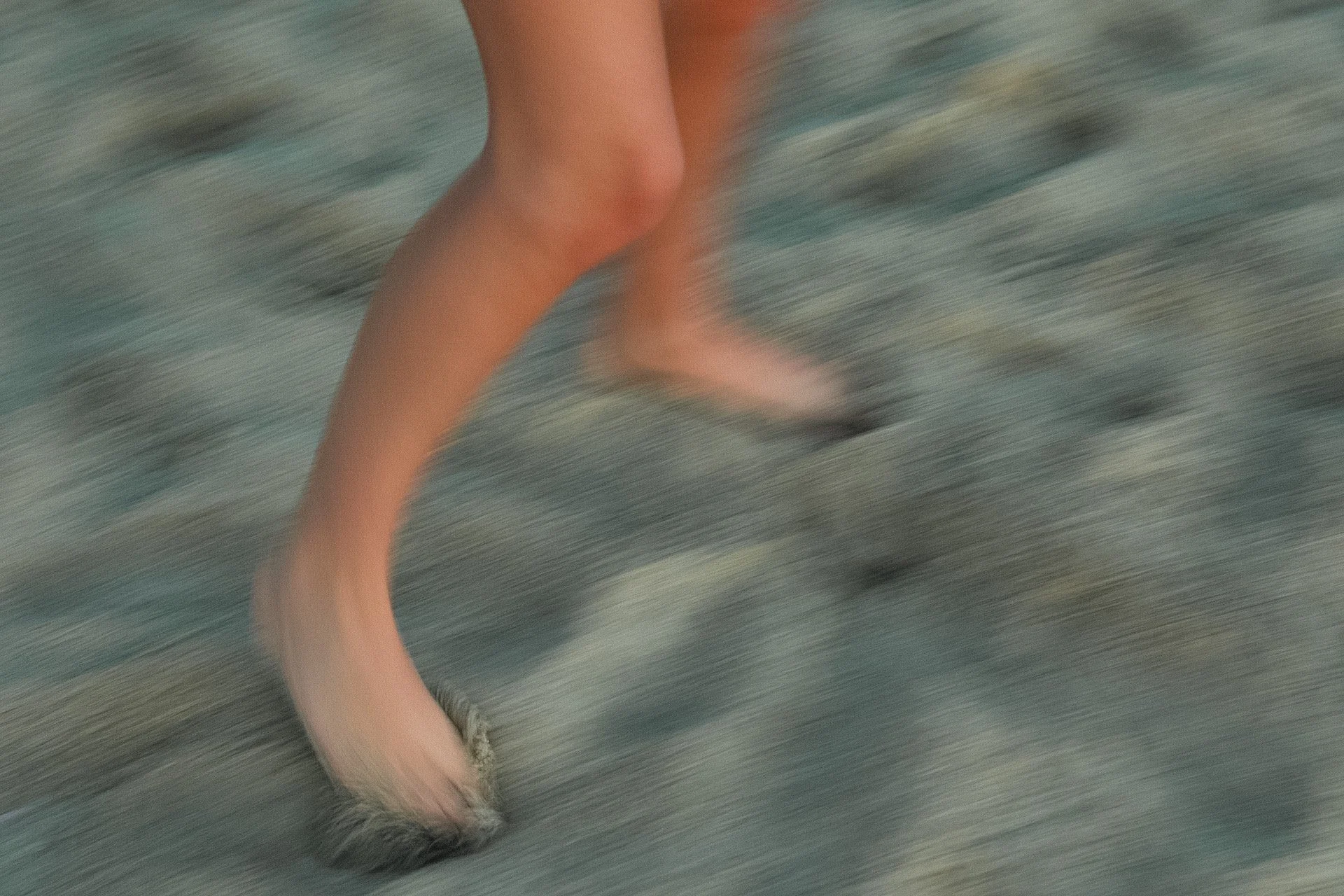 Close-up of a person's bare legs and feet running on a rocky beach, with motion blur.