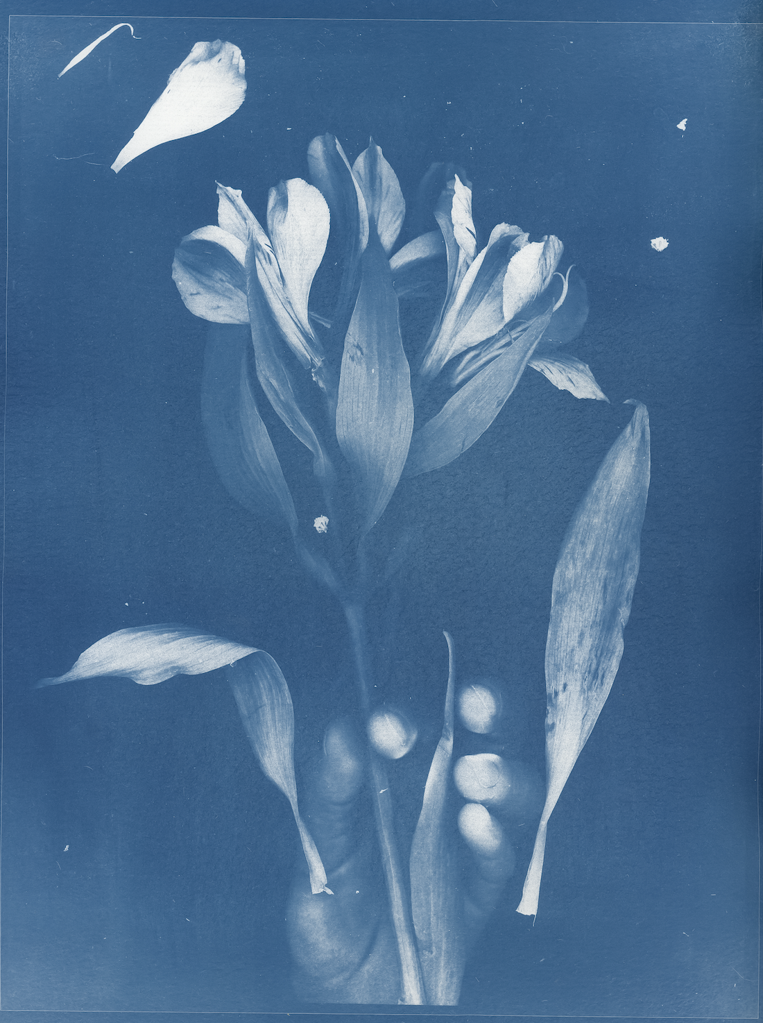 Blue & Beyond-10.jpg