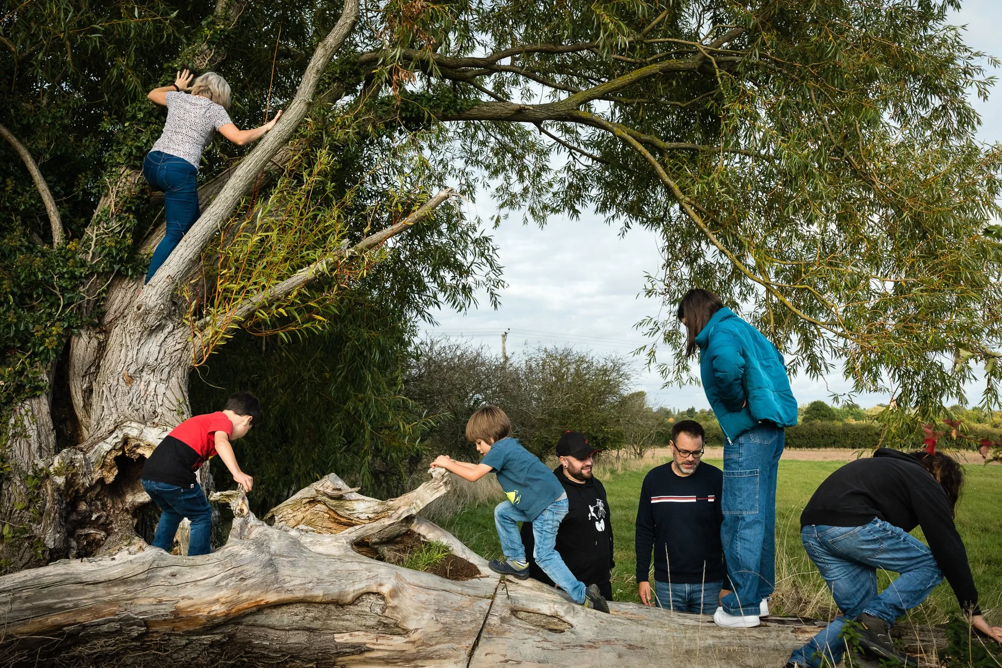 A group of children and adults exploring and climbing a large fallen tree and climbing a tree outdoors in a park or natural setting.