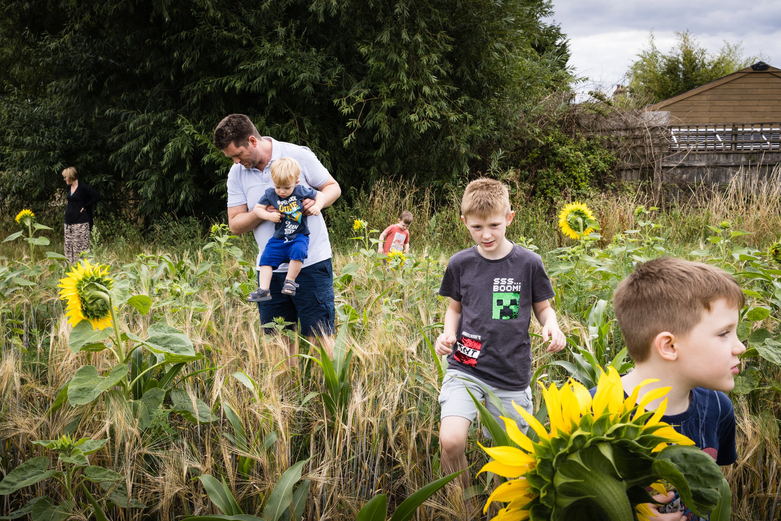 Children and adults exploring a sunflower field during daytime, with some children running and others walking, surrounded by tall sunflowers and greenery.
