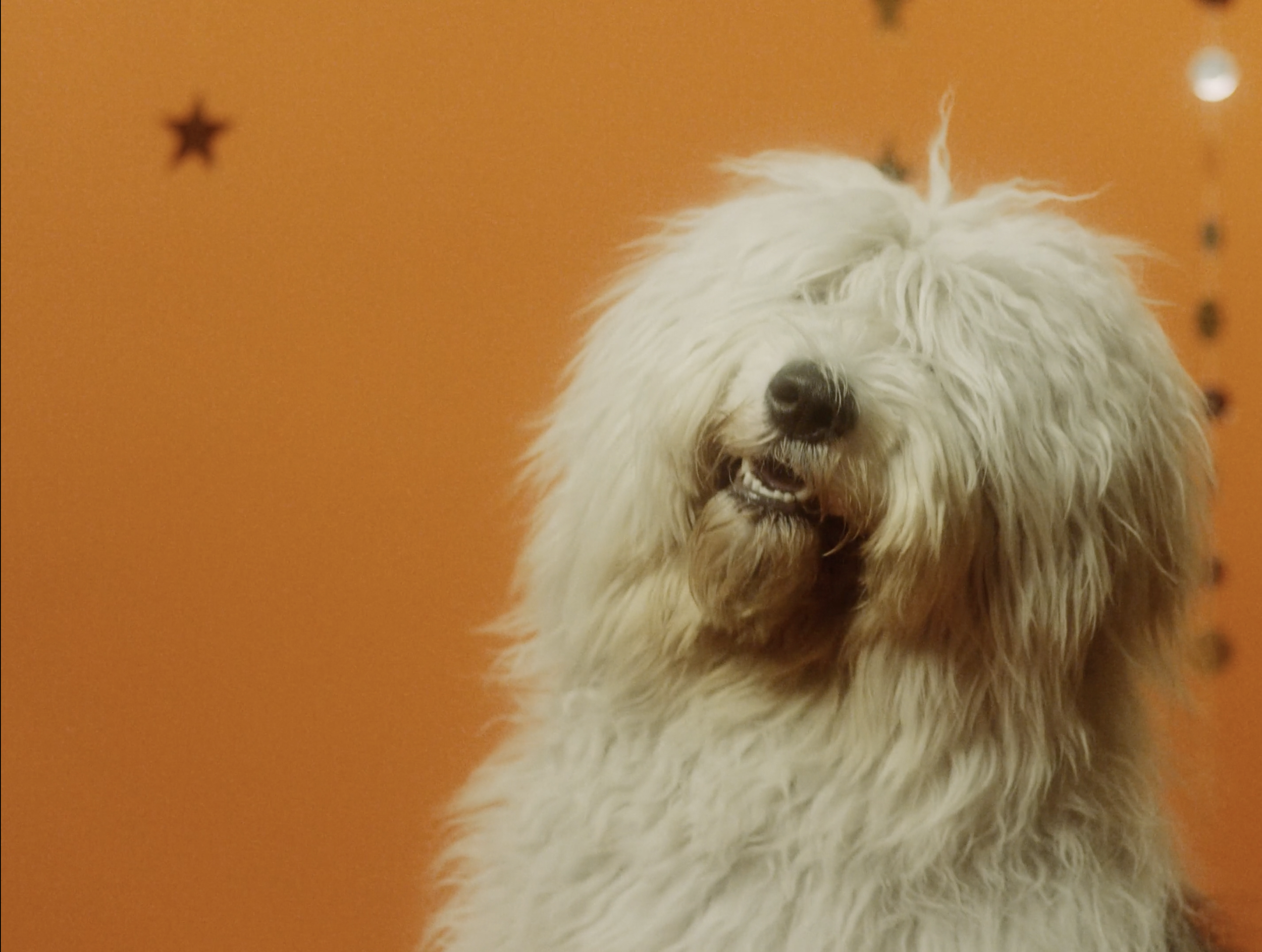 Screenshot 2025-12-19 at 12.02.21.png