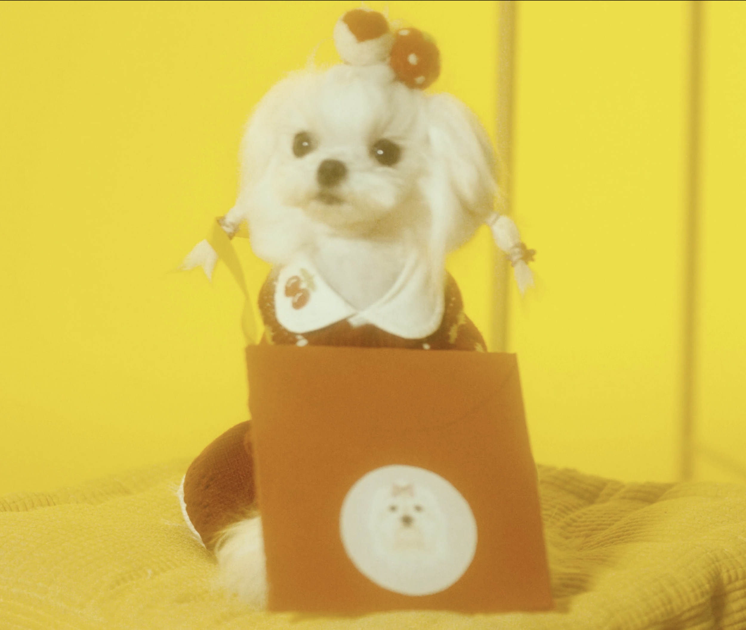 Screenshot 2025-12-19 at 12.02.53.png