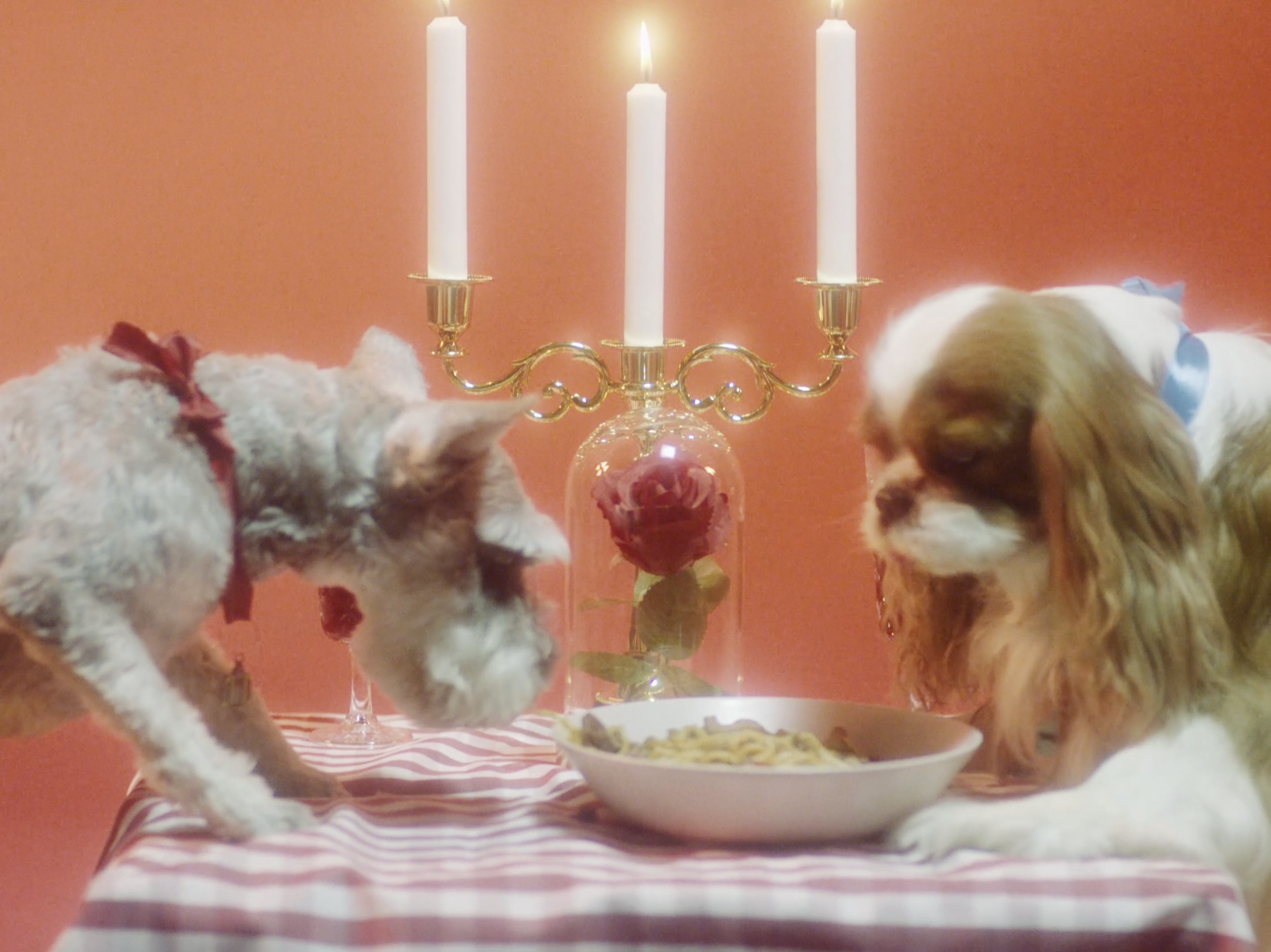 Screenshot 2025-12-19 at 12.06.25.png