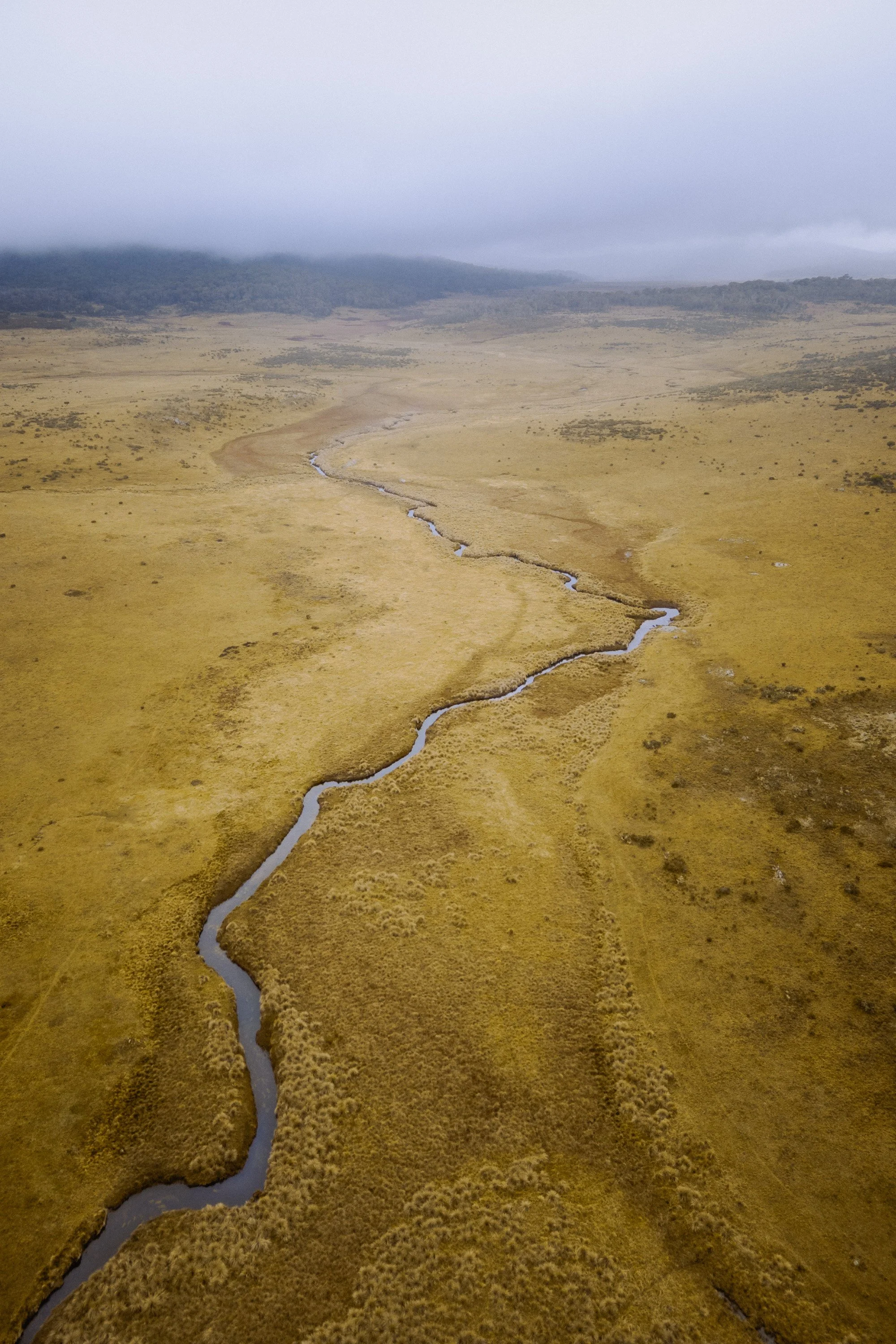 Snowy River Drone (2x3) (For web).jpg