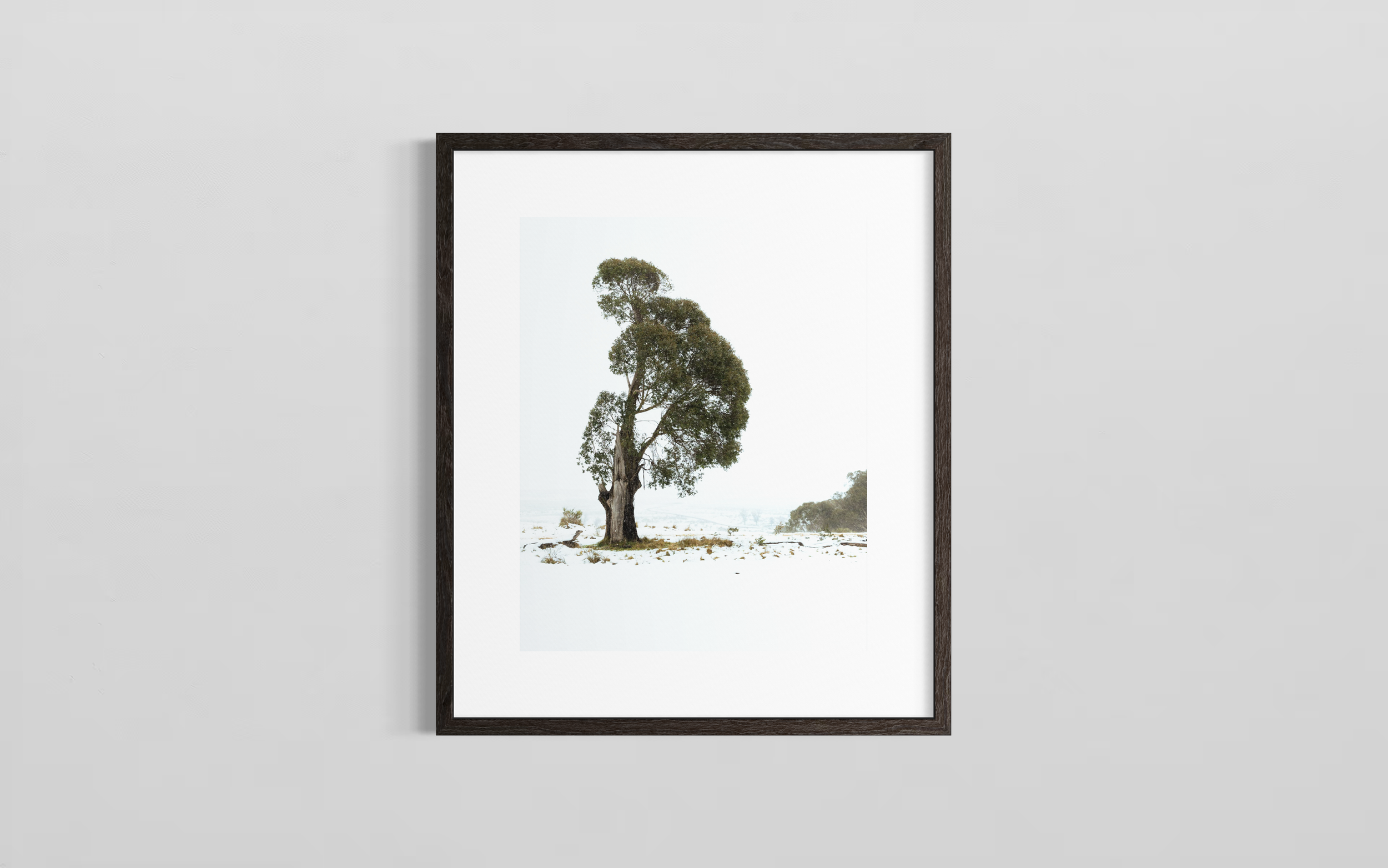 The Tree That Was