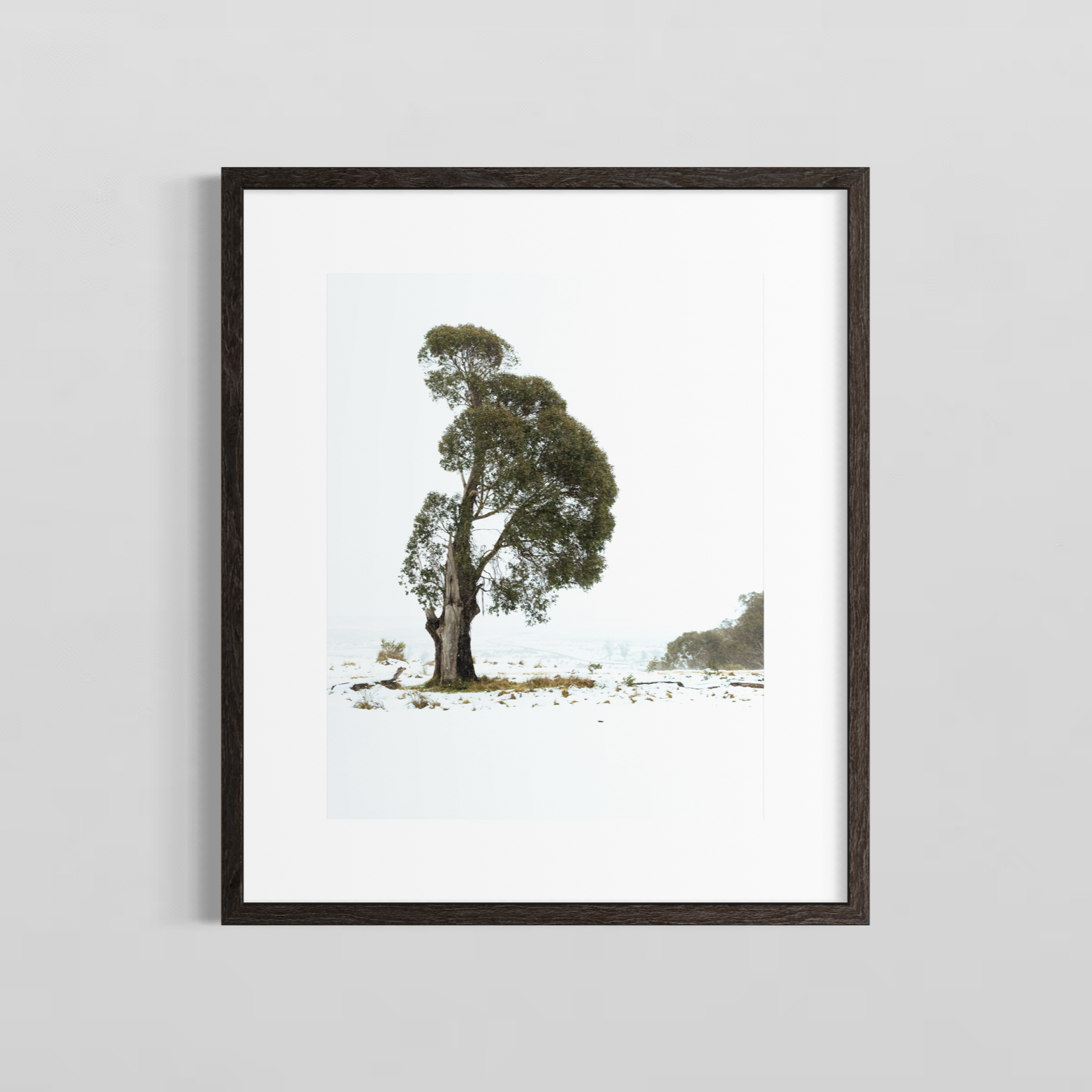 The+Tree+That+Was+Preview+Blank+wall.png