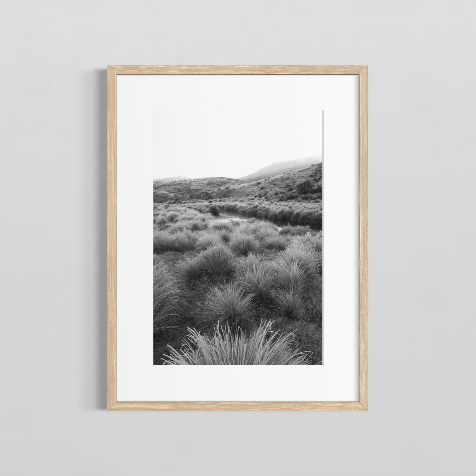 High Plain Grass