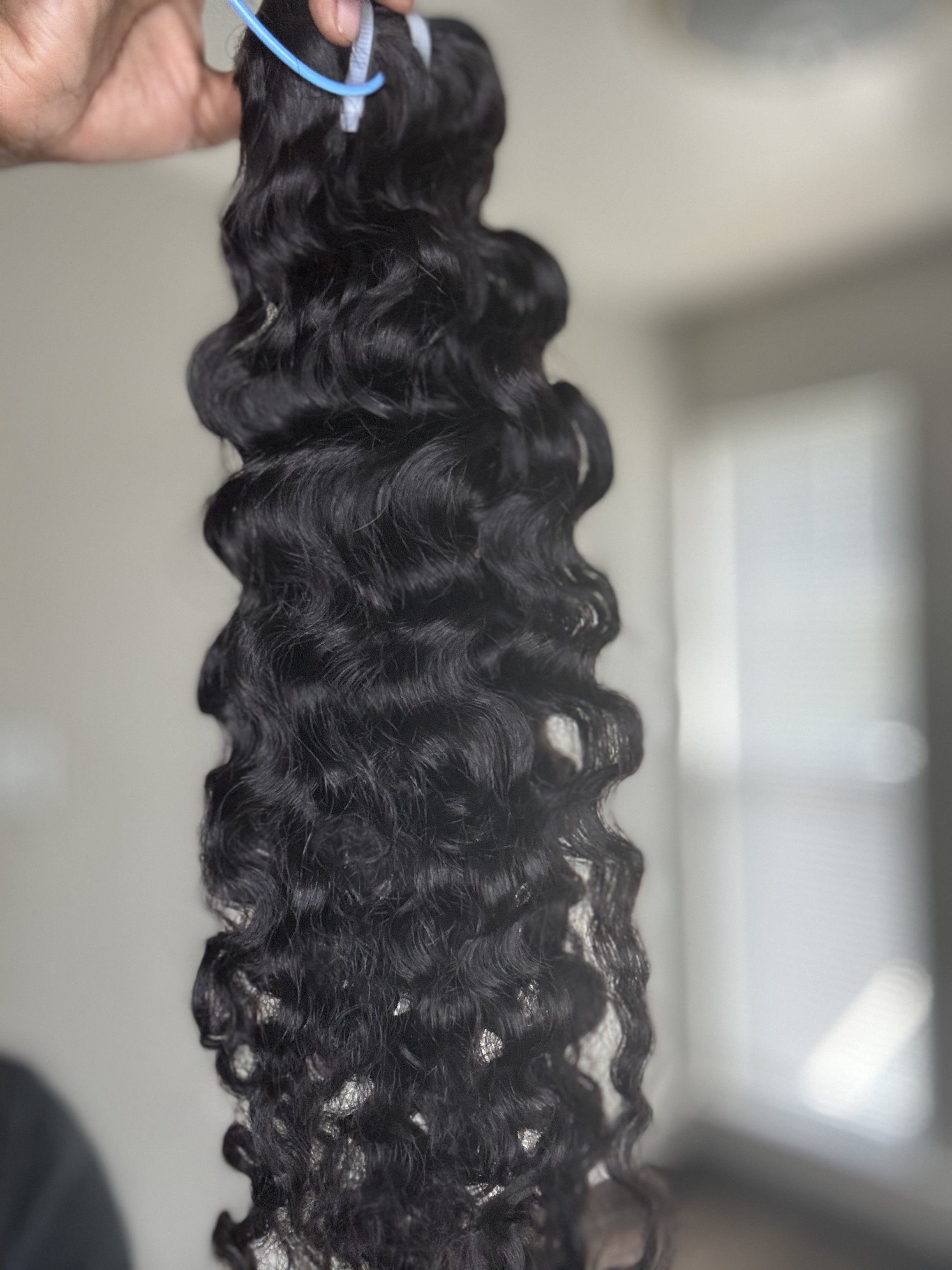 Burmese Curls Bundle