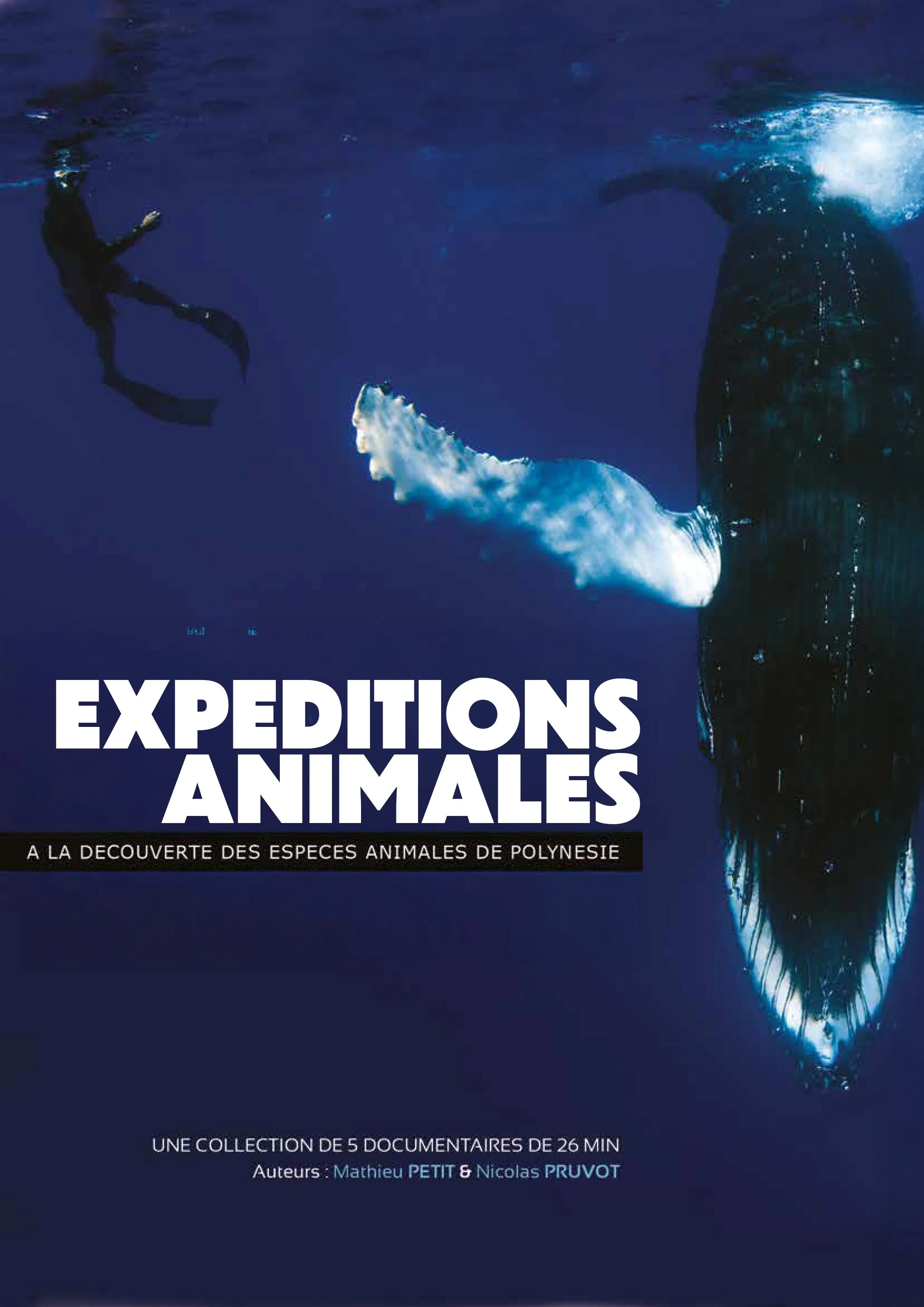 Affiche d'une série de documentaires intitulée "Expéditions Animales" montrant un plongeur et une baleine en Polynésie.