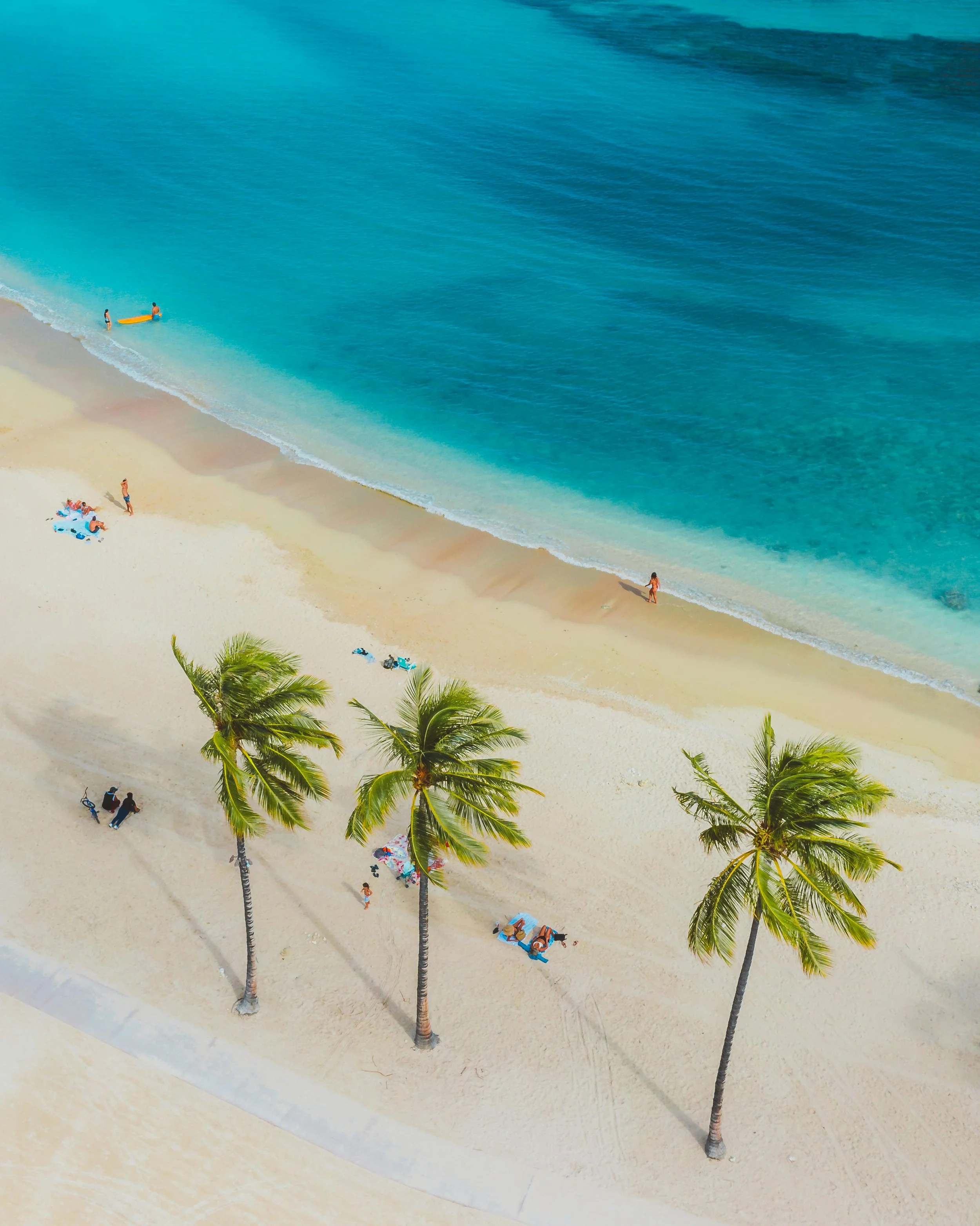 Plage tropicale avec trois palmiers, plage de sable blanc, personnes sous des parasols, et l'océan turquoise en arrière-plan.