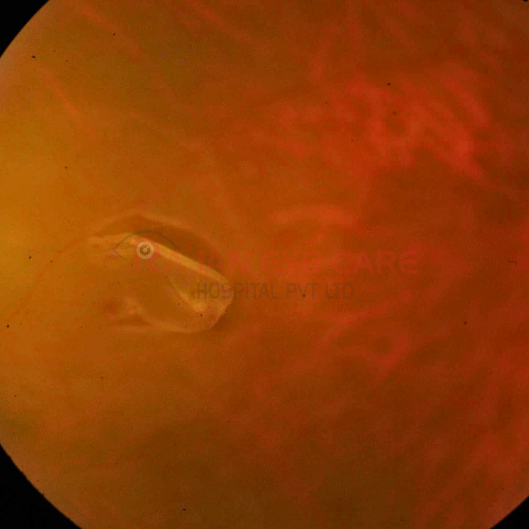Guess the Diagnosis!