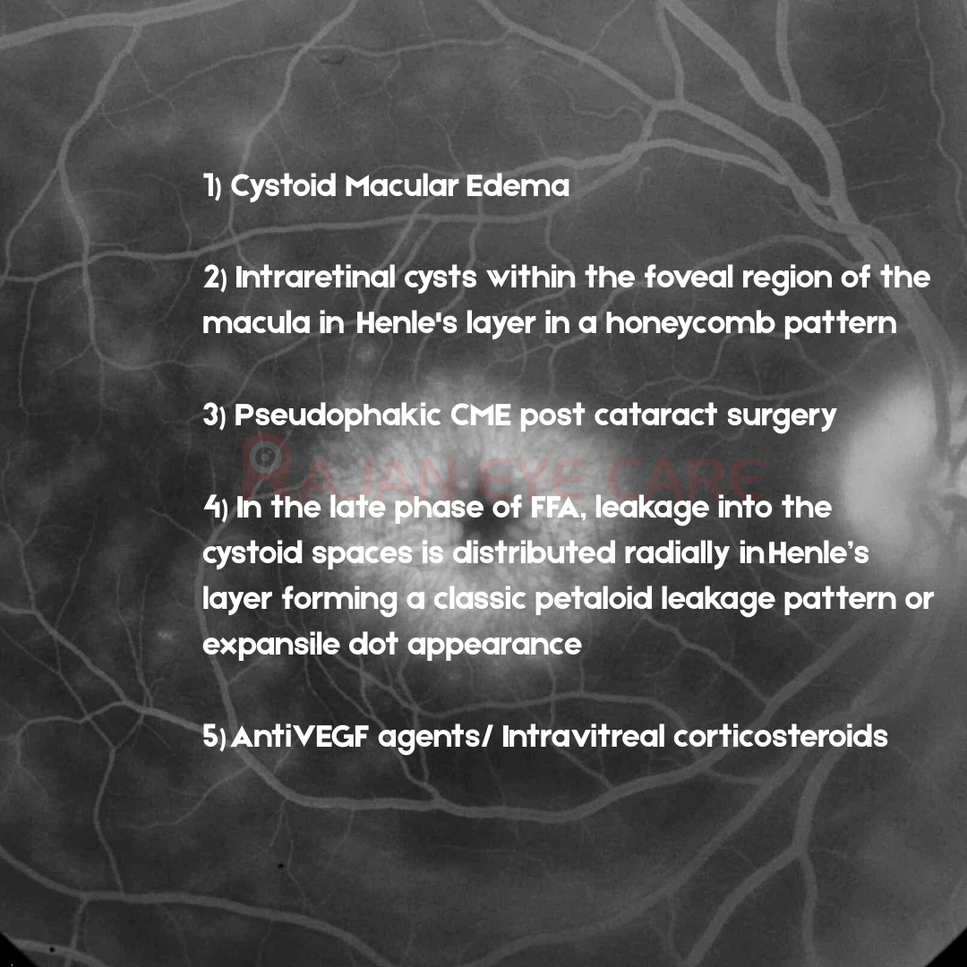 EyeSpy Answers- CME.png