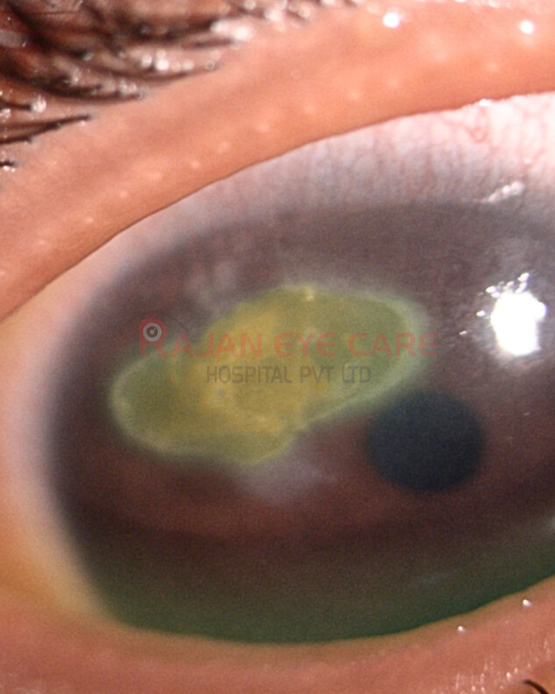 Guess the Diagnosis!