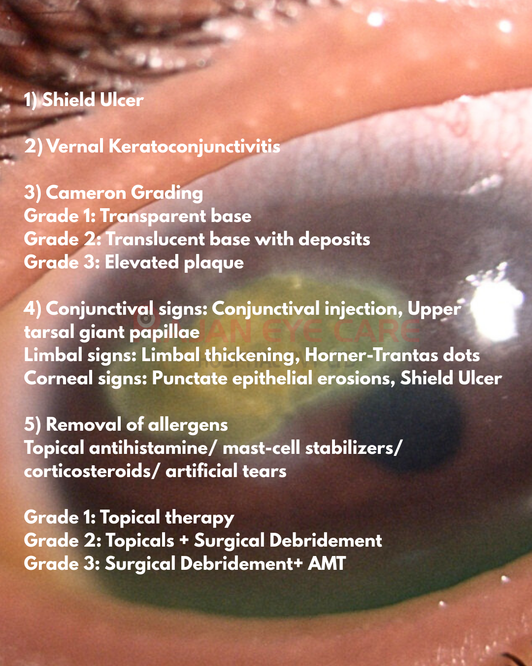 Shield Ulcer Answers.png