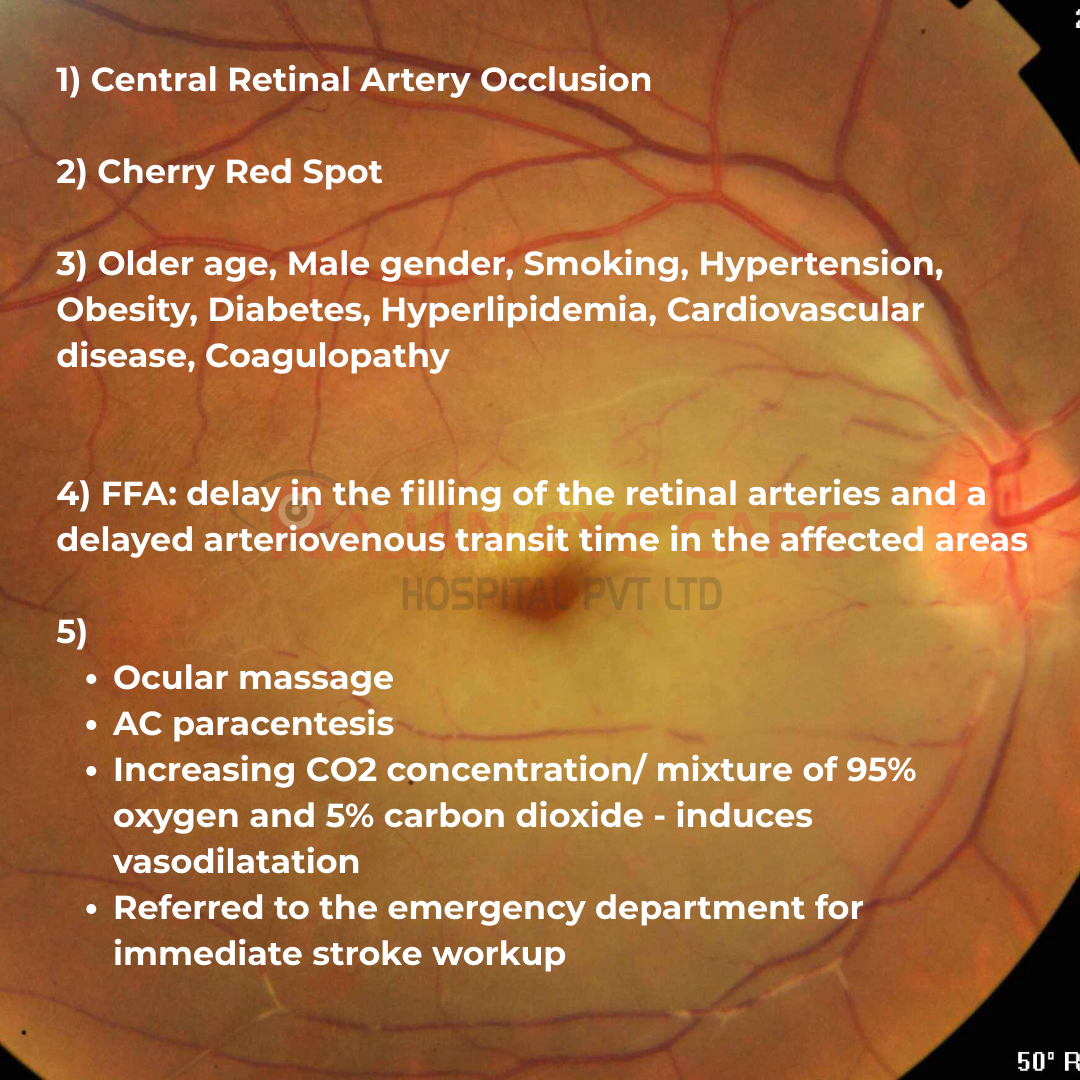 CRAO EyeSpy Answers.png