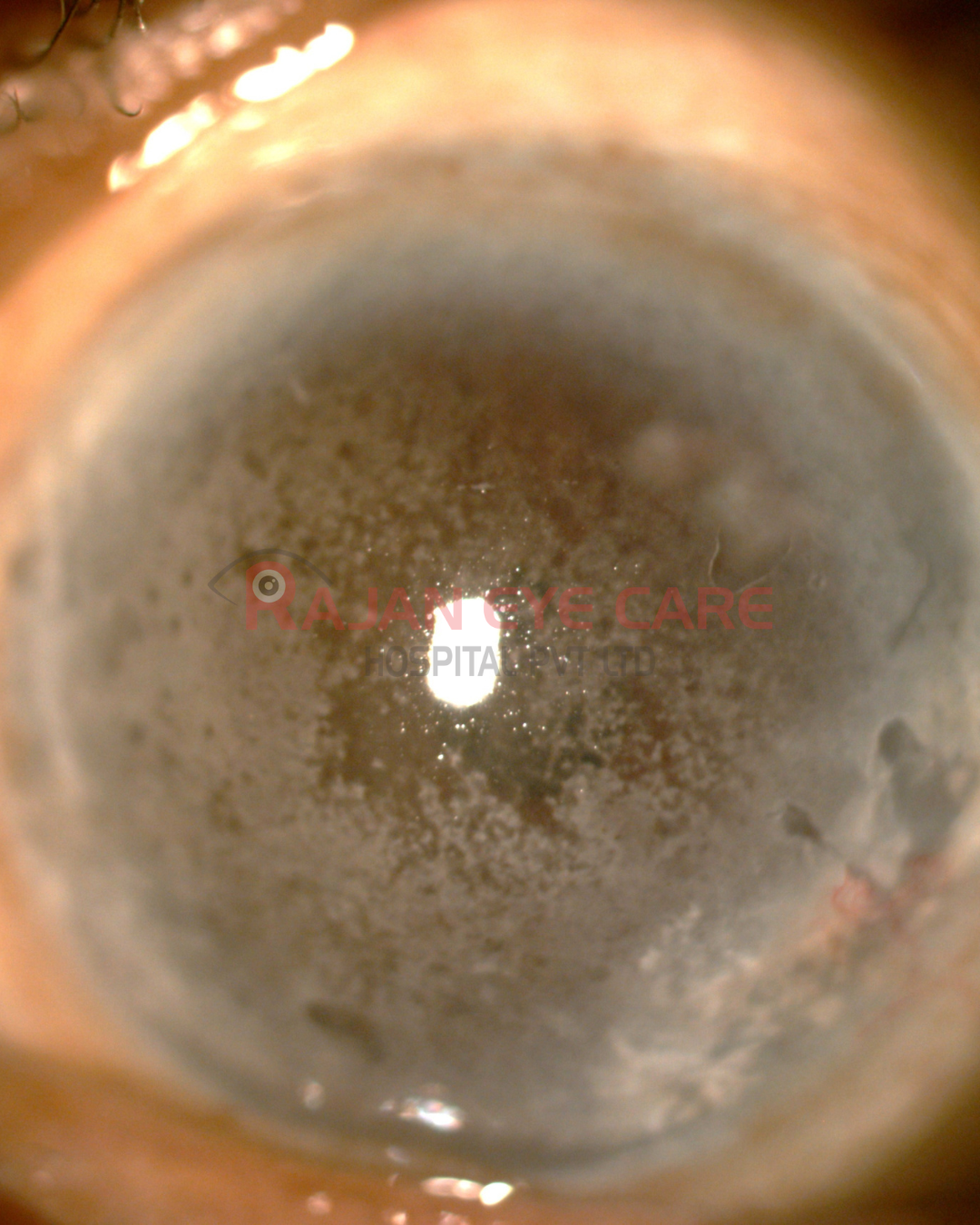 Guess the Diagnosis!