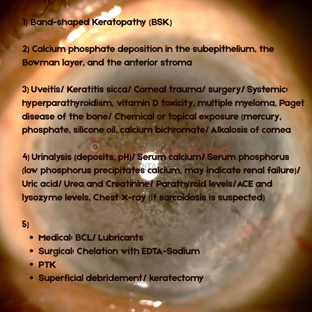 EyeSpy Answers - BSK.png