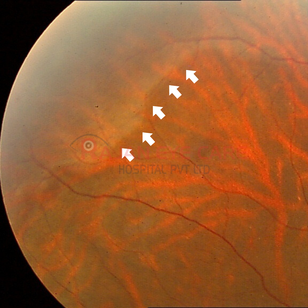 Guess the Diagnosis!