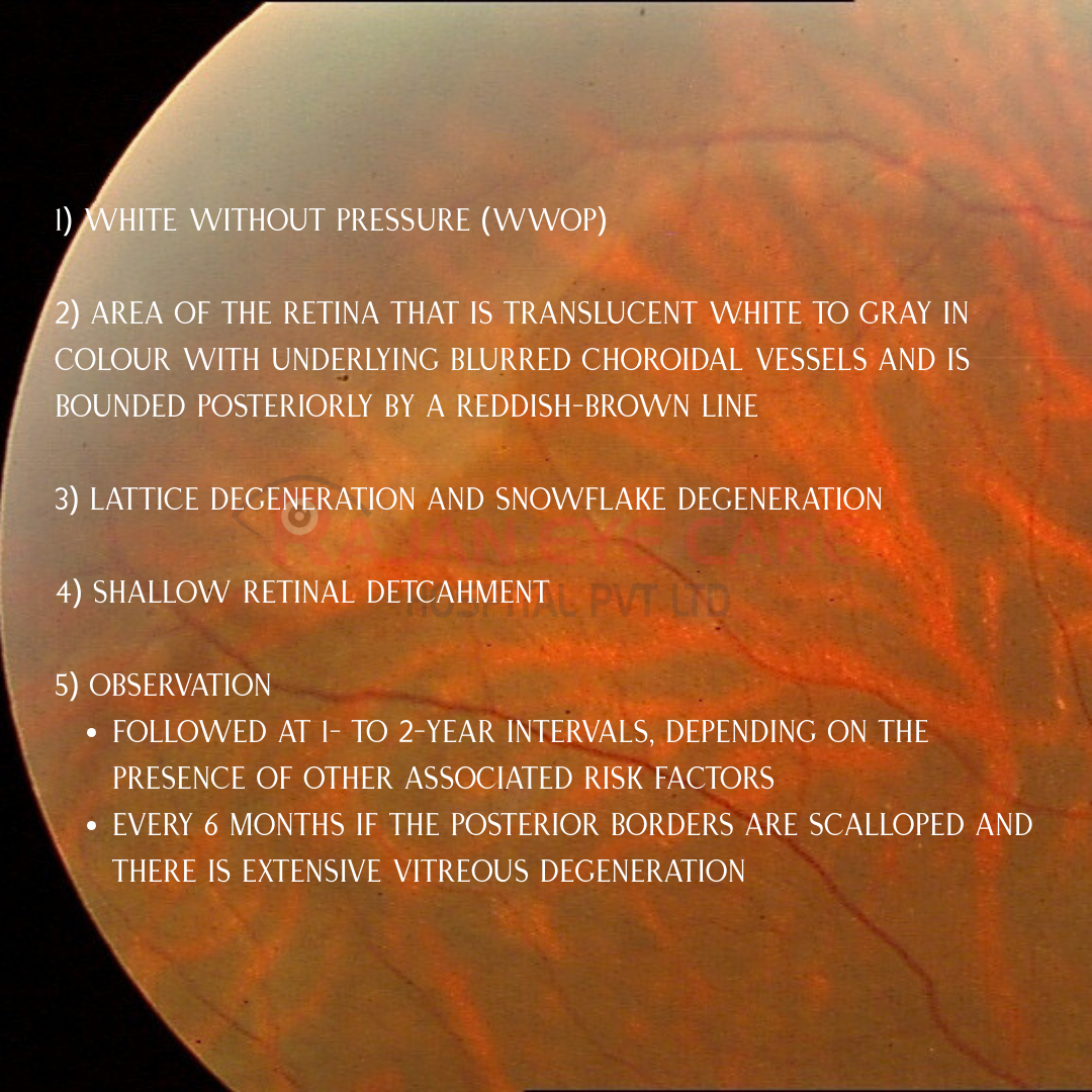 EyeSpy Answers - WWOP.png