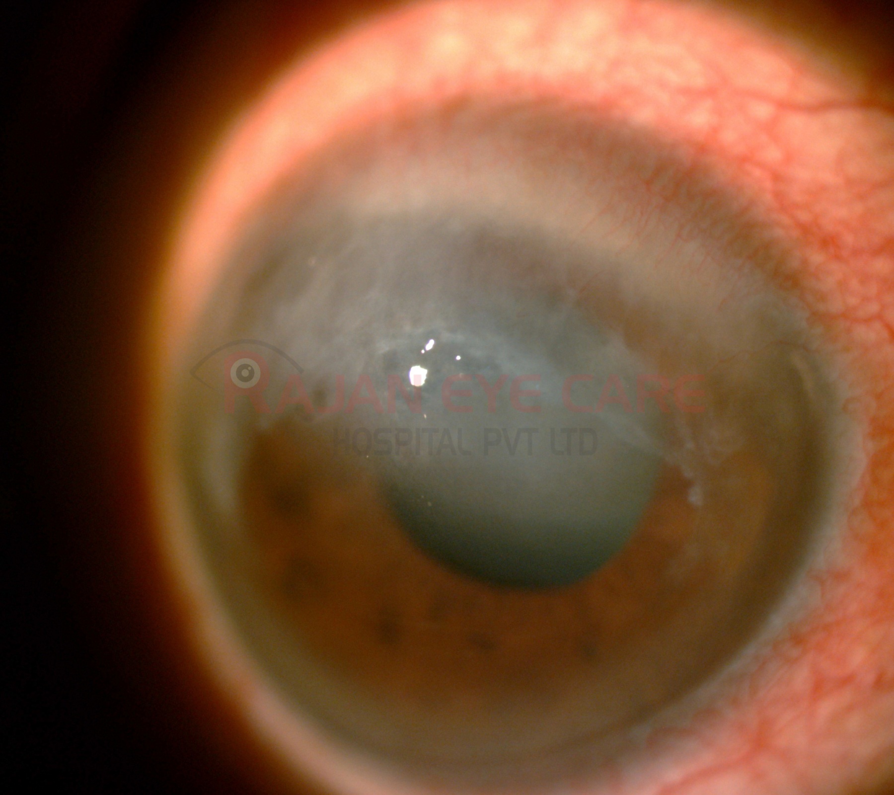 Guess the Diagnosis!