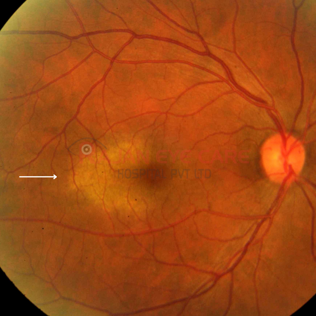 Guess the Diagnosis!