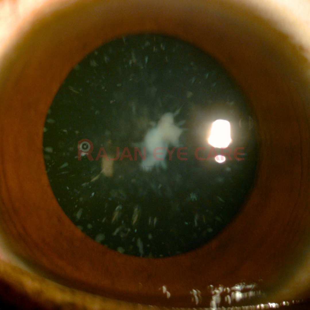 Guess the Diagnosis!