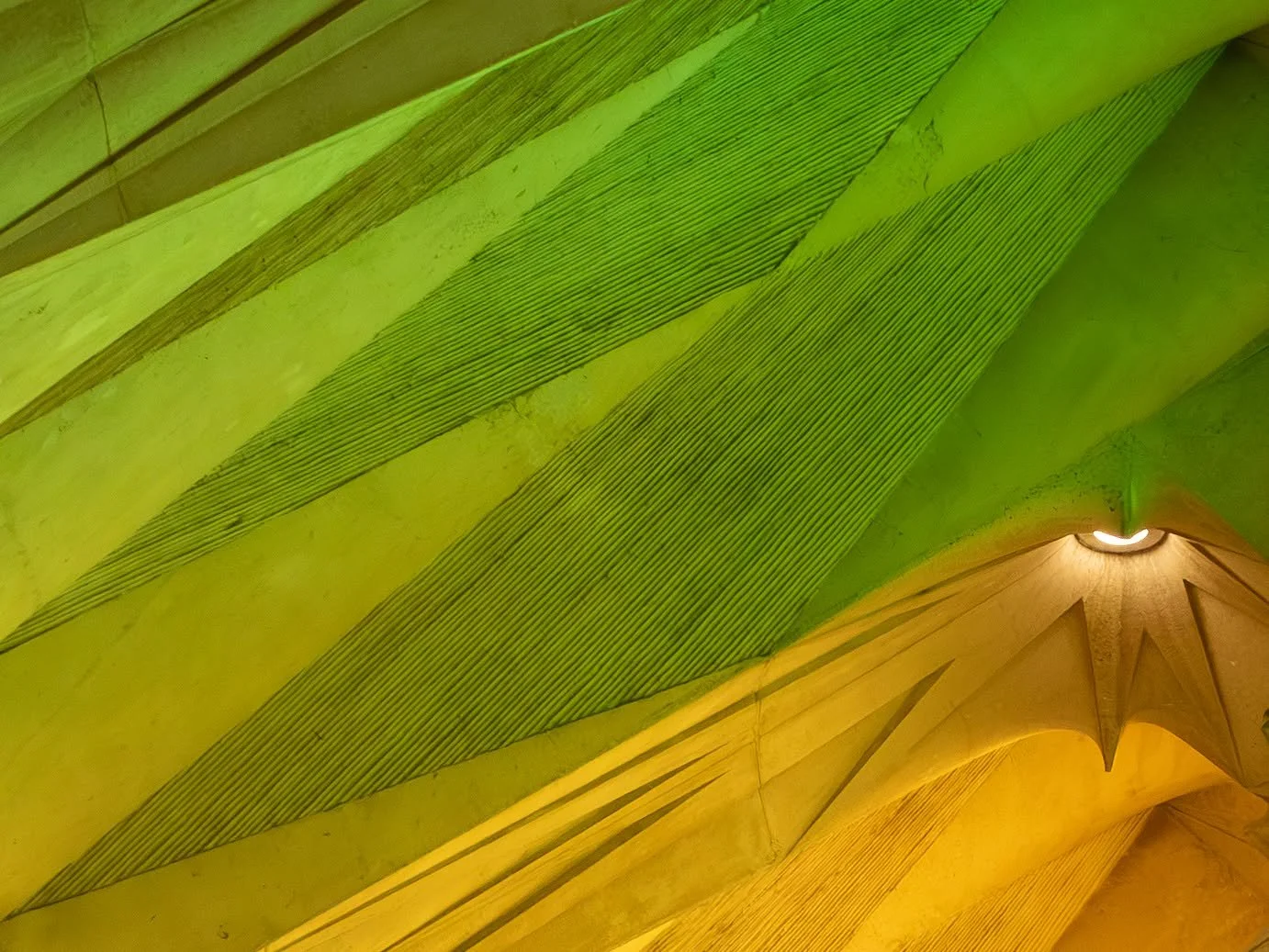 Green color
#g&eacute;om&eacute;trie#nature#vert#green#texture#greencolor