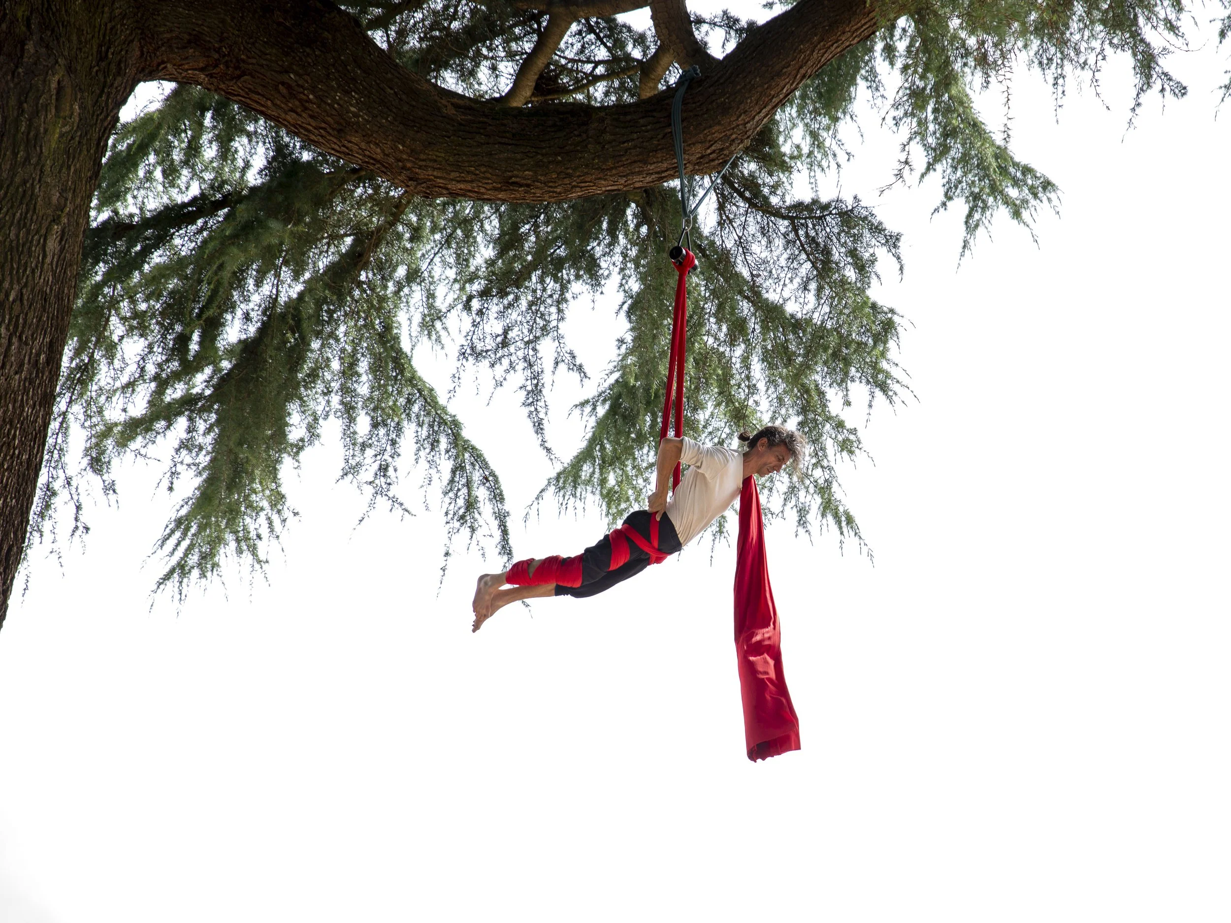 fête_des_remparts_spectacle_acrobate_voile_rouge_dinan_bretagne_lisa_gouillet_photographe.jpg
