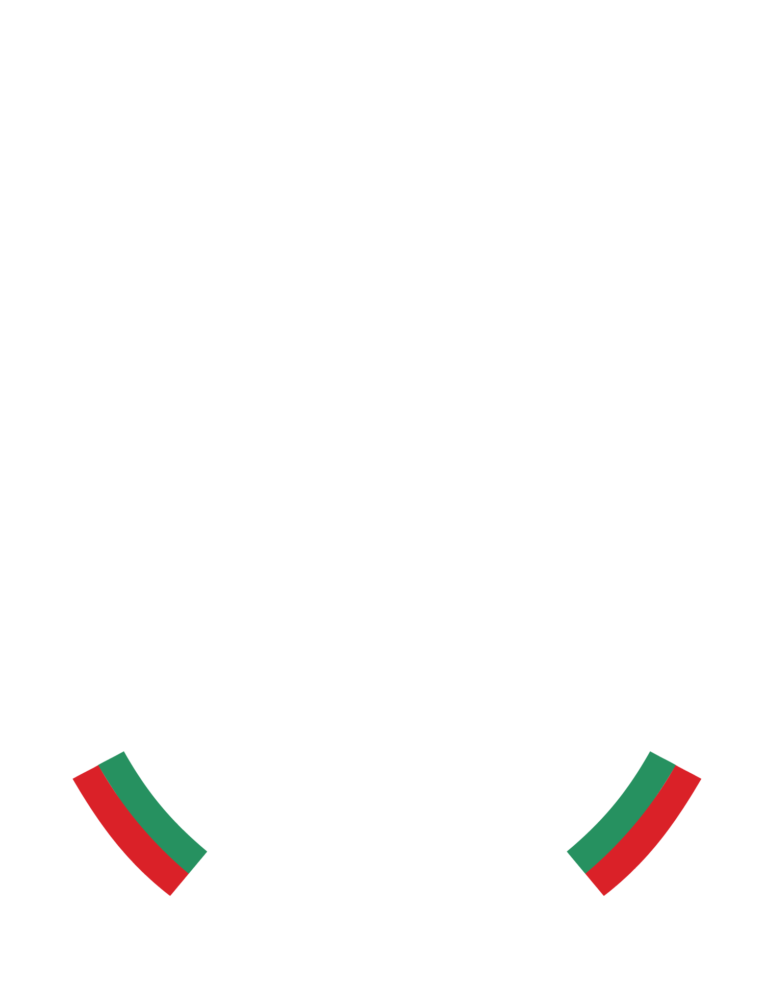 CSKA Vision