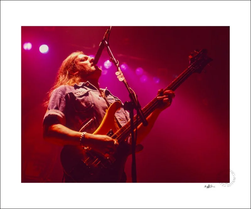 motorhead clean-denoise-W.jpg