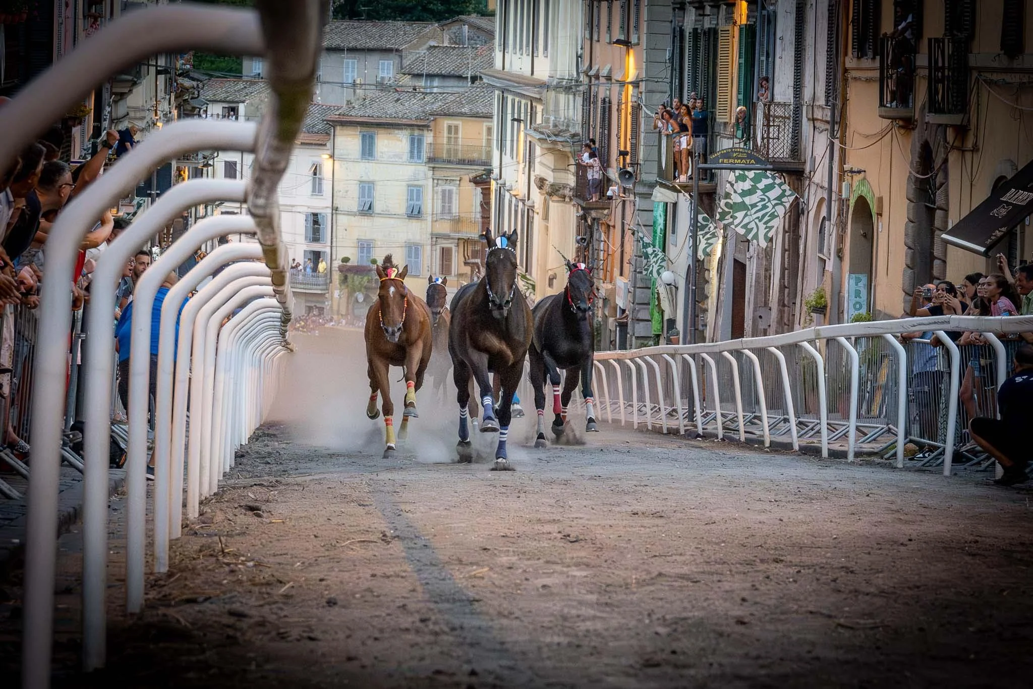 Le corse a vuoto a Ronciglione presso corso Umberto I, Palio di S.Bartolomeo.