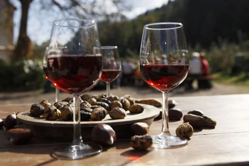 castagne-a-san-martino.jpg