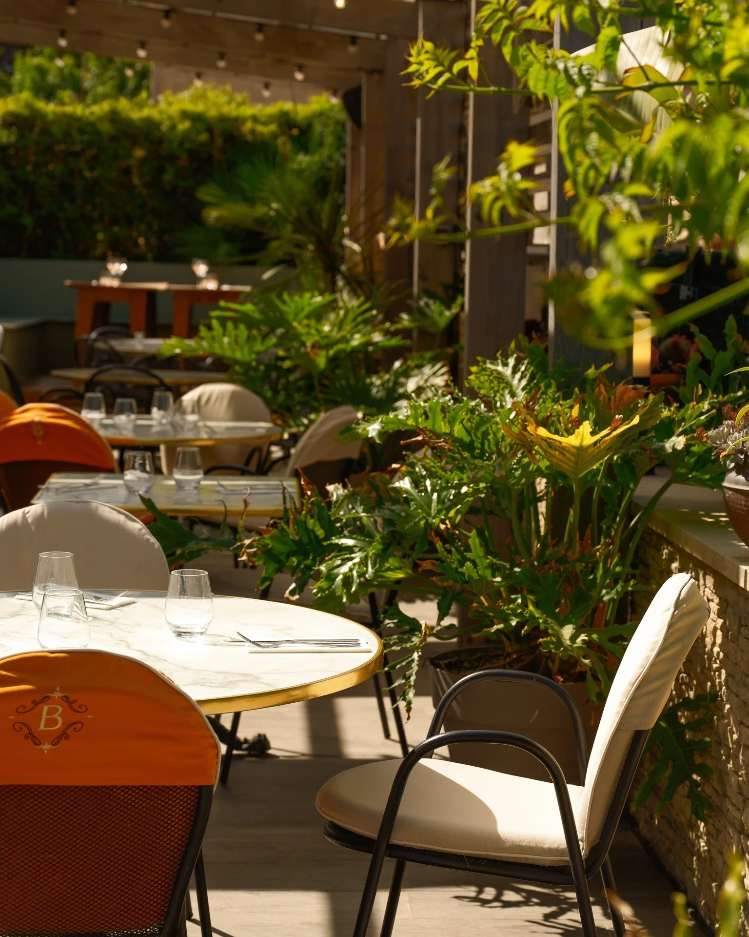 Les beaux jours sont arriv&eacute;s au Barocco 🌿

#terrasse #restaurant #sixfours #barocco