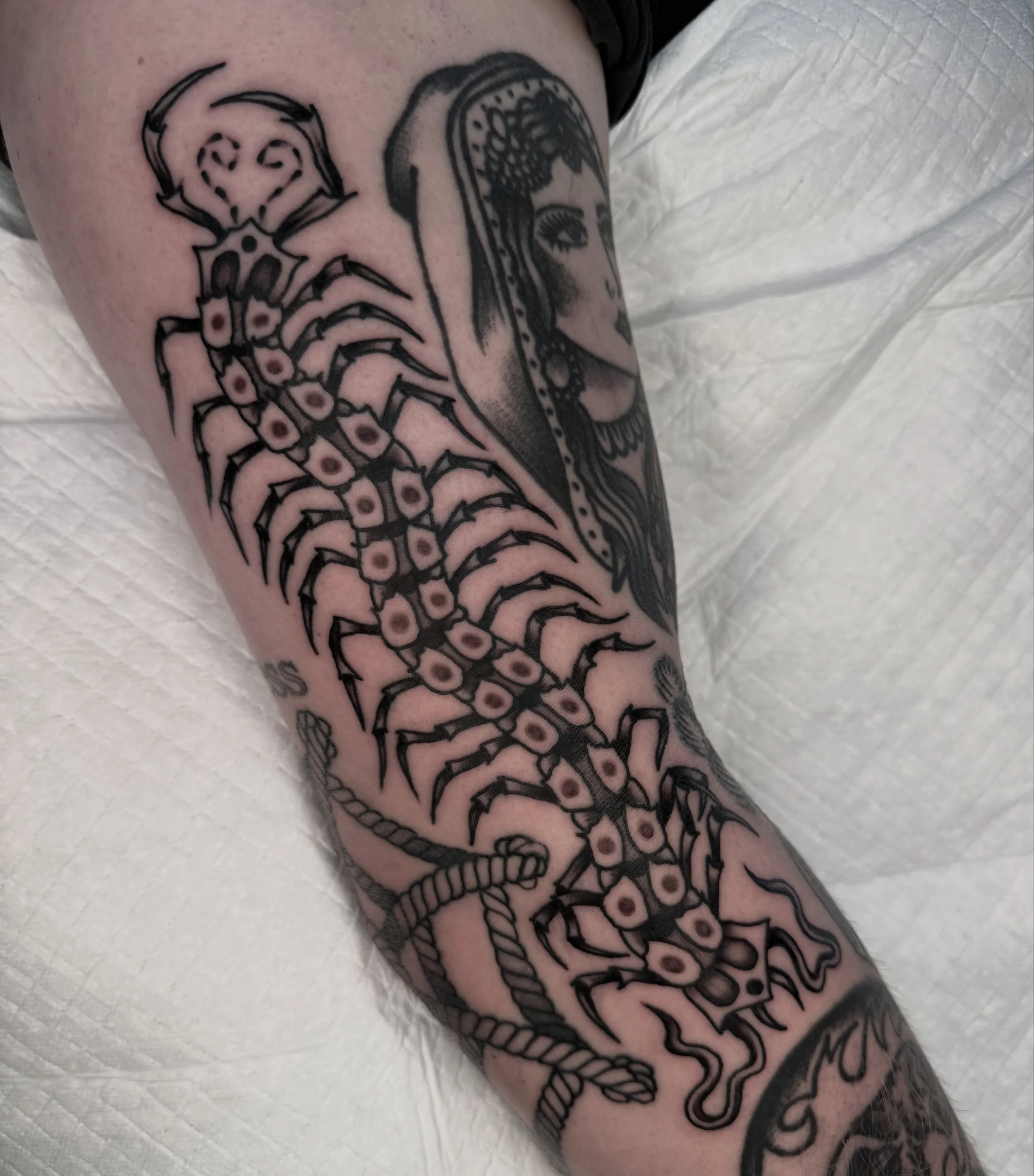 Centipedes are too perfect for those skinny/hard to fill gaps. I&rsquo;d love to do more.