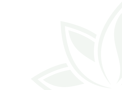 Grüne stilisierte Blattform auf schwarzem Hintergrund