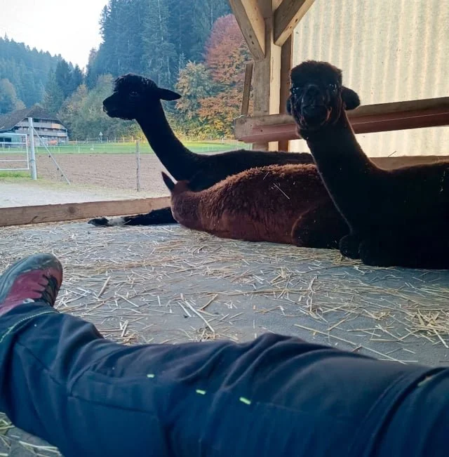 🌿 Time-out Platz frei 🌿